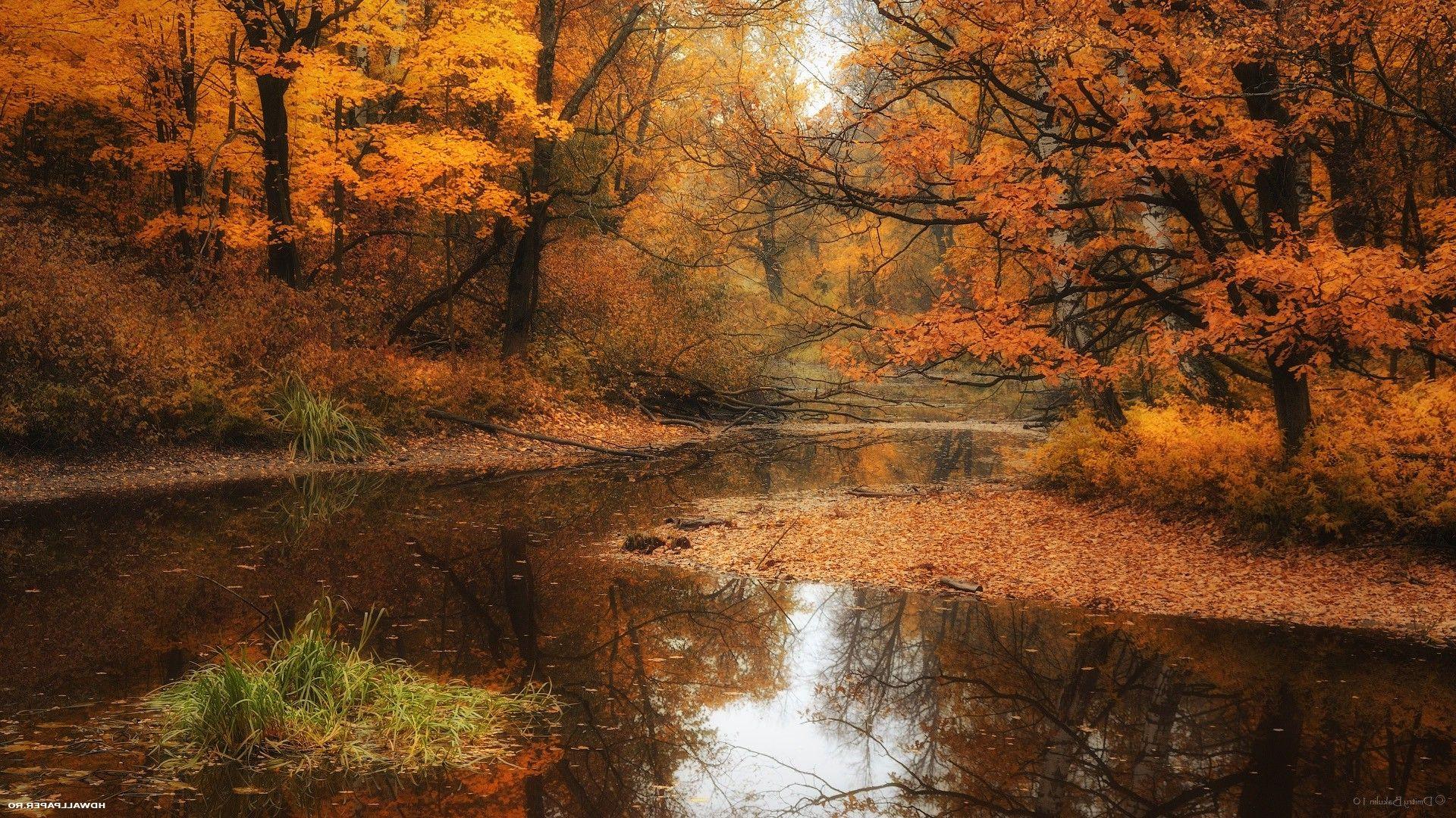 Autumn Water Wallpapers - Top Free Autumn Water Backgrounds ...