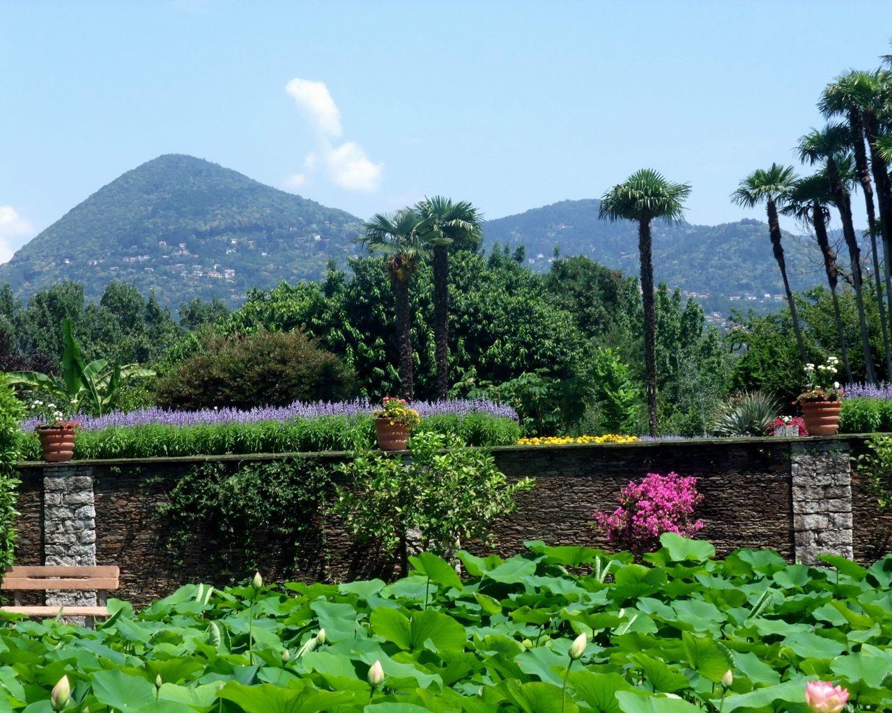 1280x1024 Download wallpaper 1280x1024 flowers, wall, pots, garden, look, mountains standard 5:4 HD background