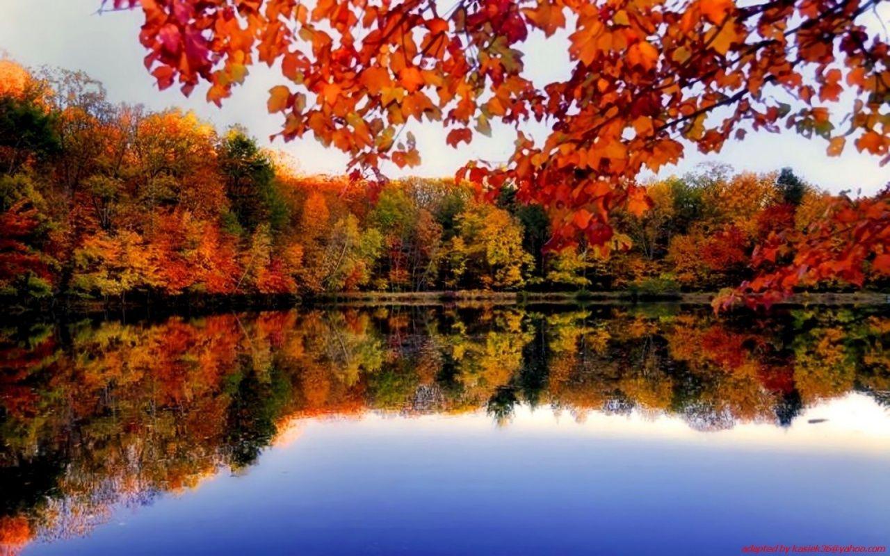 1280x800 Autumn River Background Free Download i. Autumn forest, River, Autumn wallpaper hd