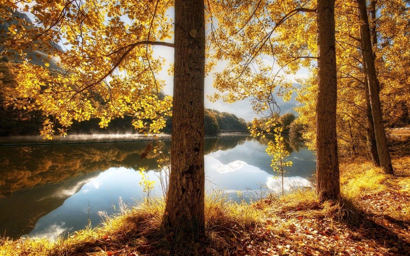 1400x875 nature, Landscape, Fall, River, Leaves, Hill, Trees, Reflection, Yellow, Grass, Water Wallpaper HD / Desktop and Mobile Background