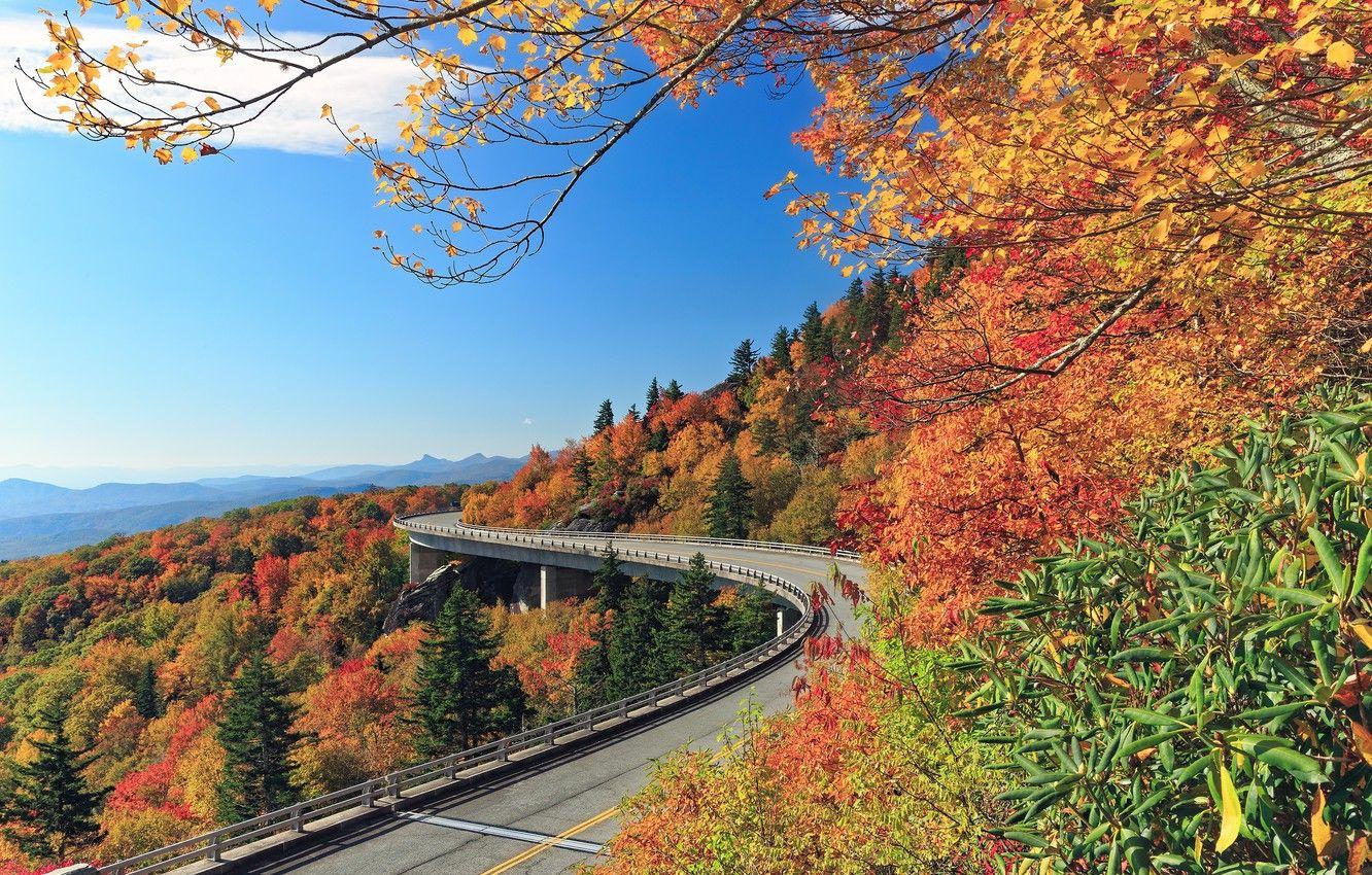 1332x850 Wallpaper road, autumn, forest, trees, mountains, North Carolina, North Carolina, Blue Ridge Mountains, Linn Cove Viaduct, Blue ridge, The Lynn Cove Viaduct image for desktop, section пейзажи
