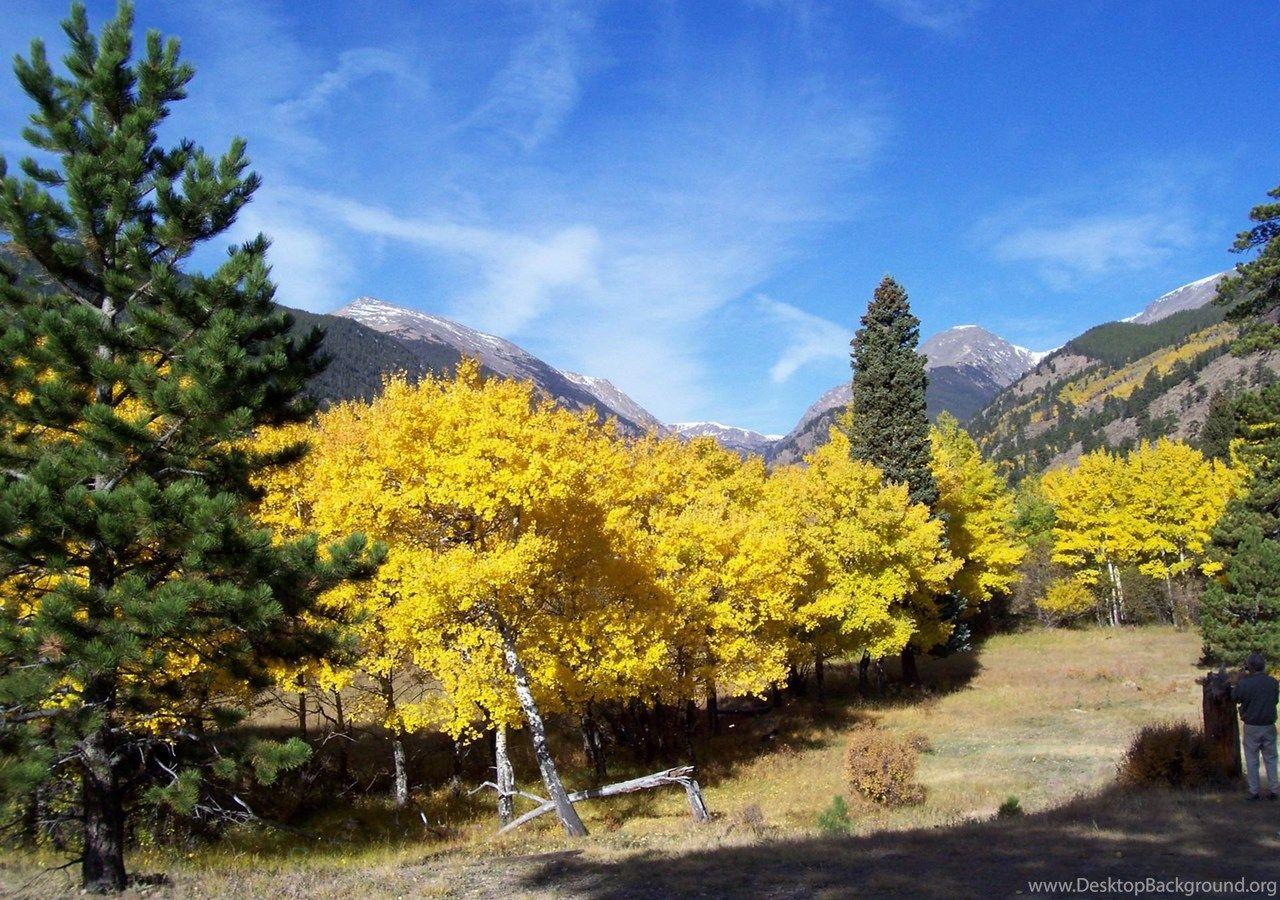 1280x900 Colorado Rocky Mountains Fall Color Wallpaper Desktop Background
