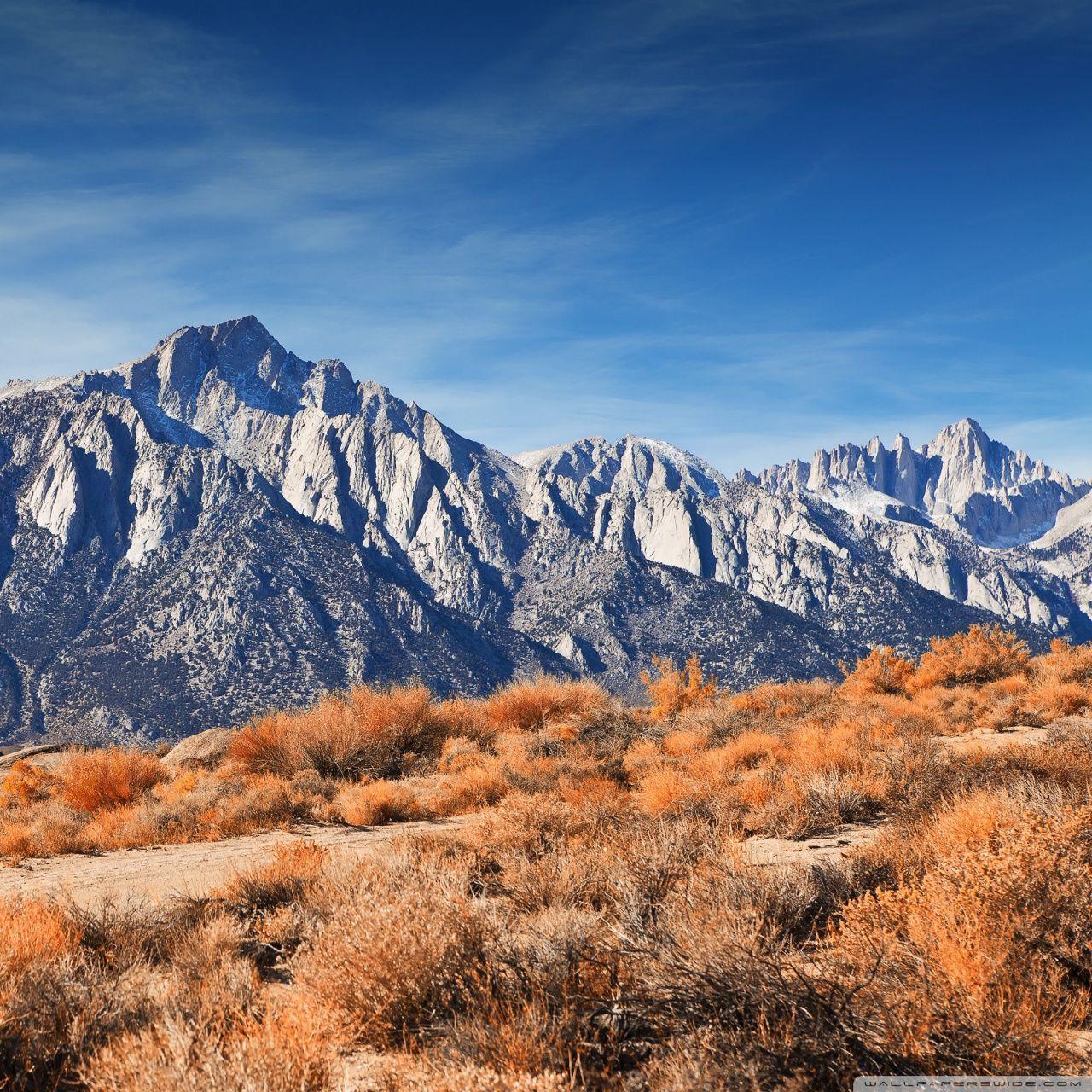 1280x1280 Rocky Mountain Peaks Autumn Ultra HD Desktop Background Wallpaper for 4K UHD TV : Multi Display, Dual Monitor : Tablet