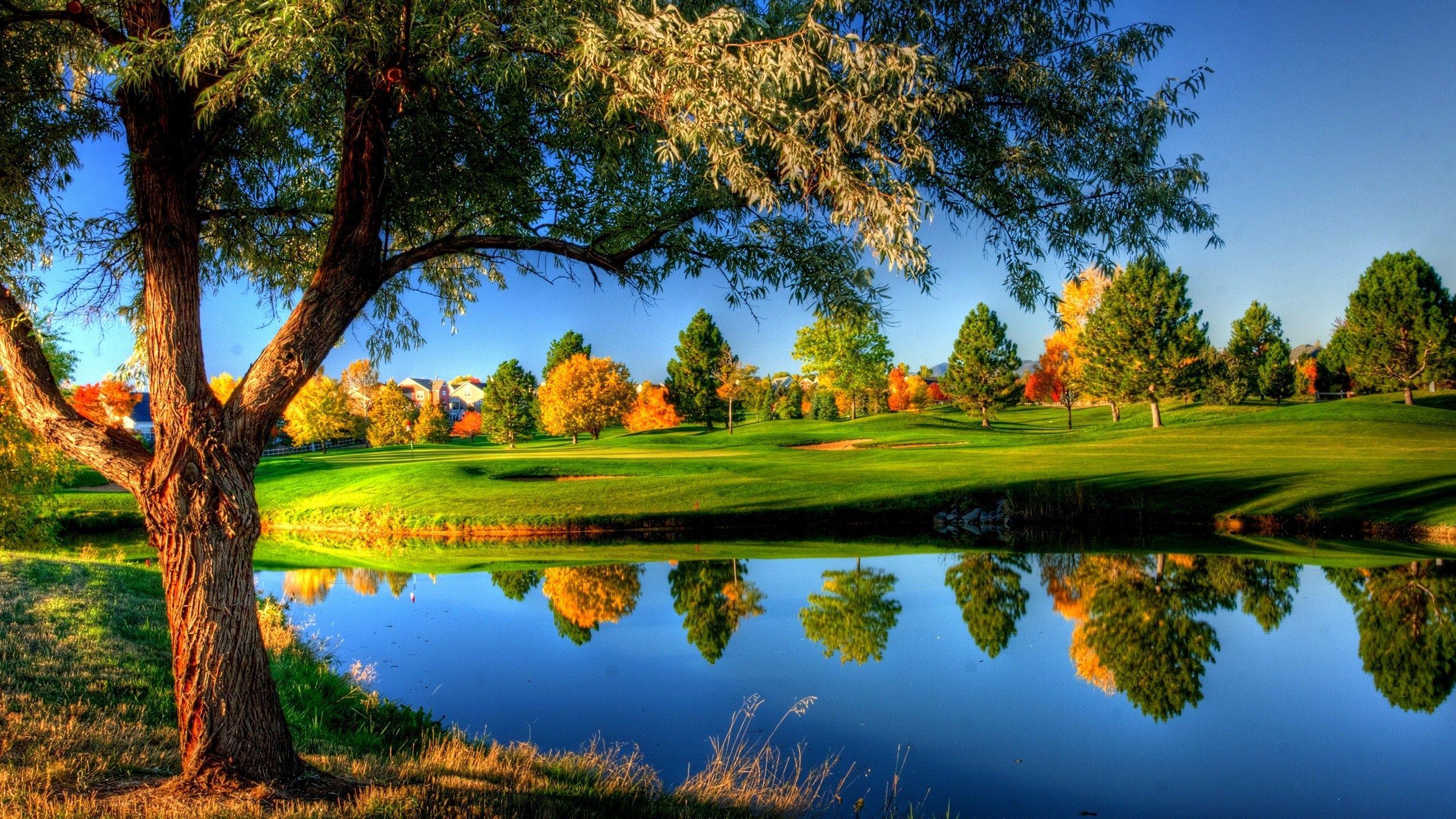 2560x1440 nature, HDR, river, water, colorful, fall, grass, trees, landscape, reflection, house wallpaper