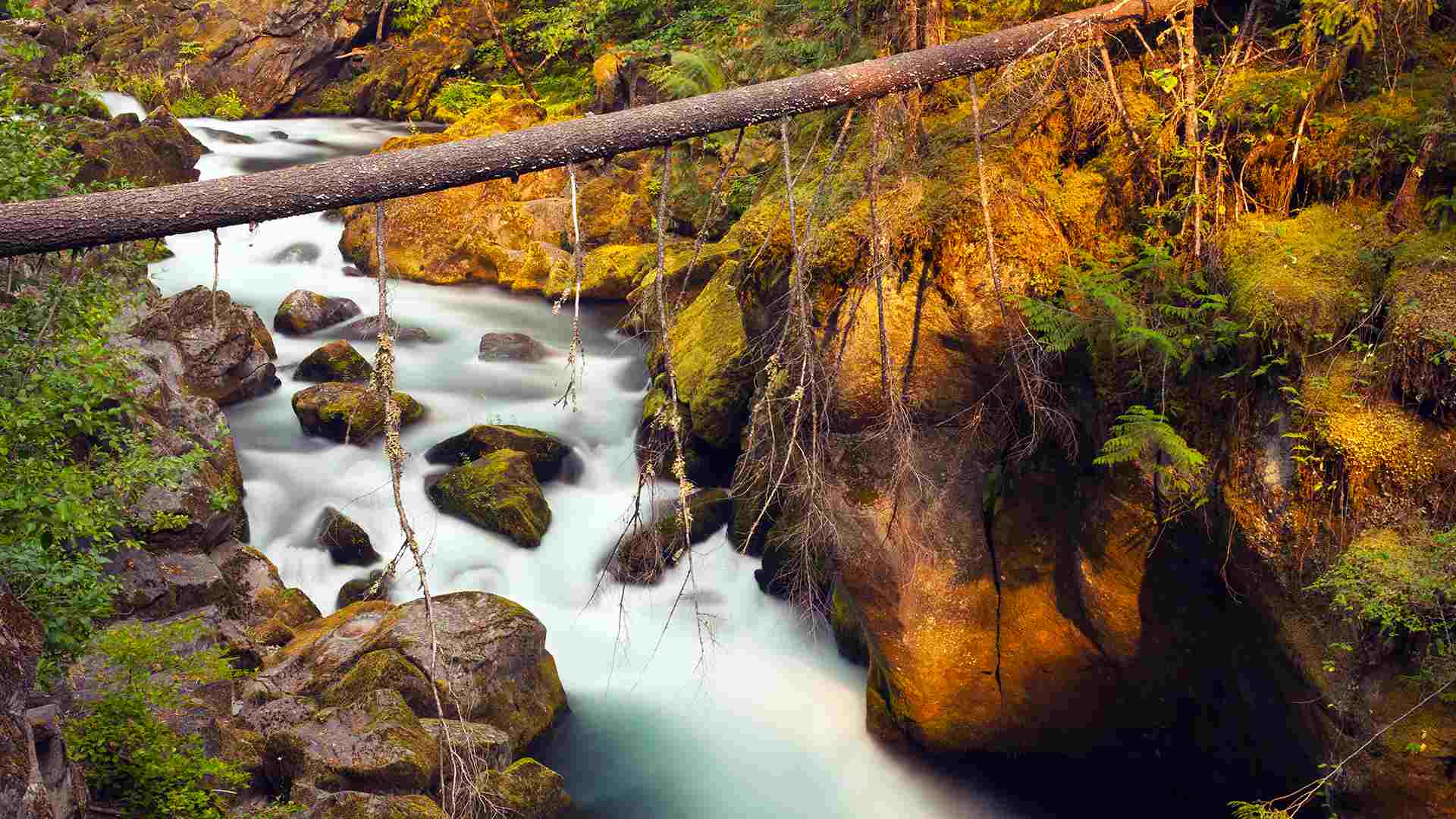 1920x1080 Best Free Autumn Wallpaper