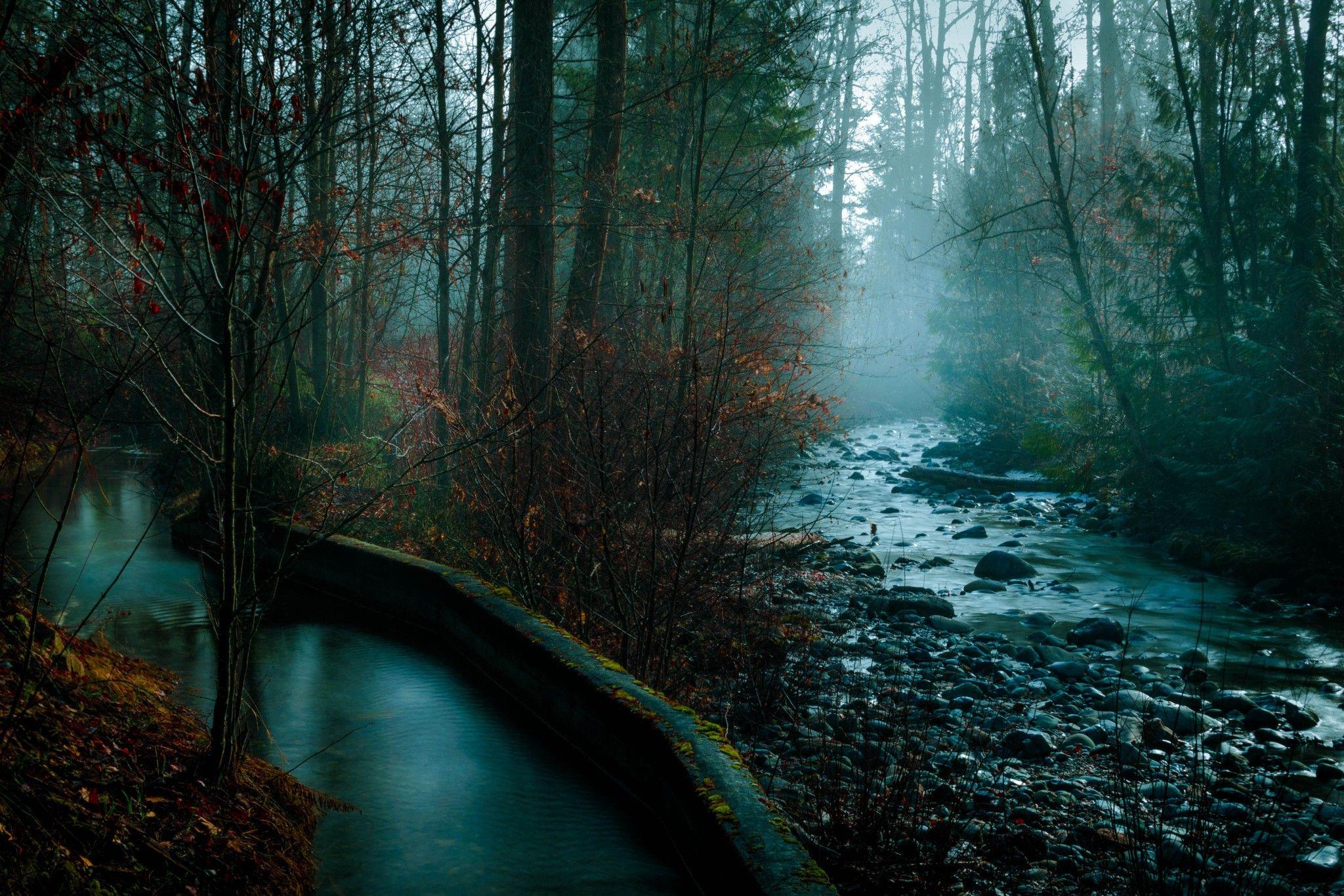 2048x1365 #photography, #flowers, #water, #trees, #rocks, #nature, #mist, # fall, #river, #plants, #dark, #landscape, wallpaper. Mocah.org HD Wallpaper