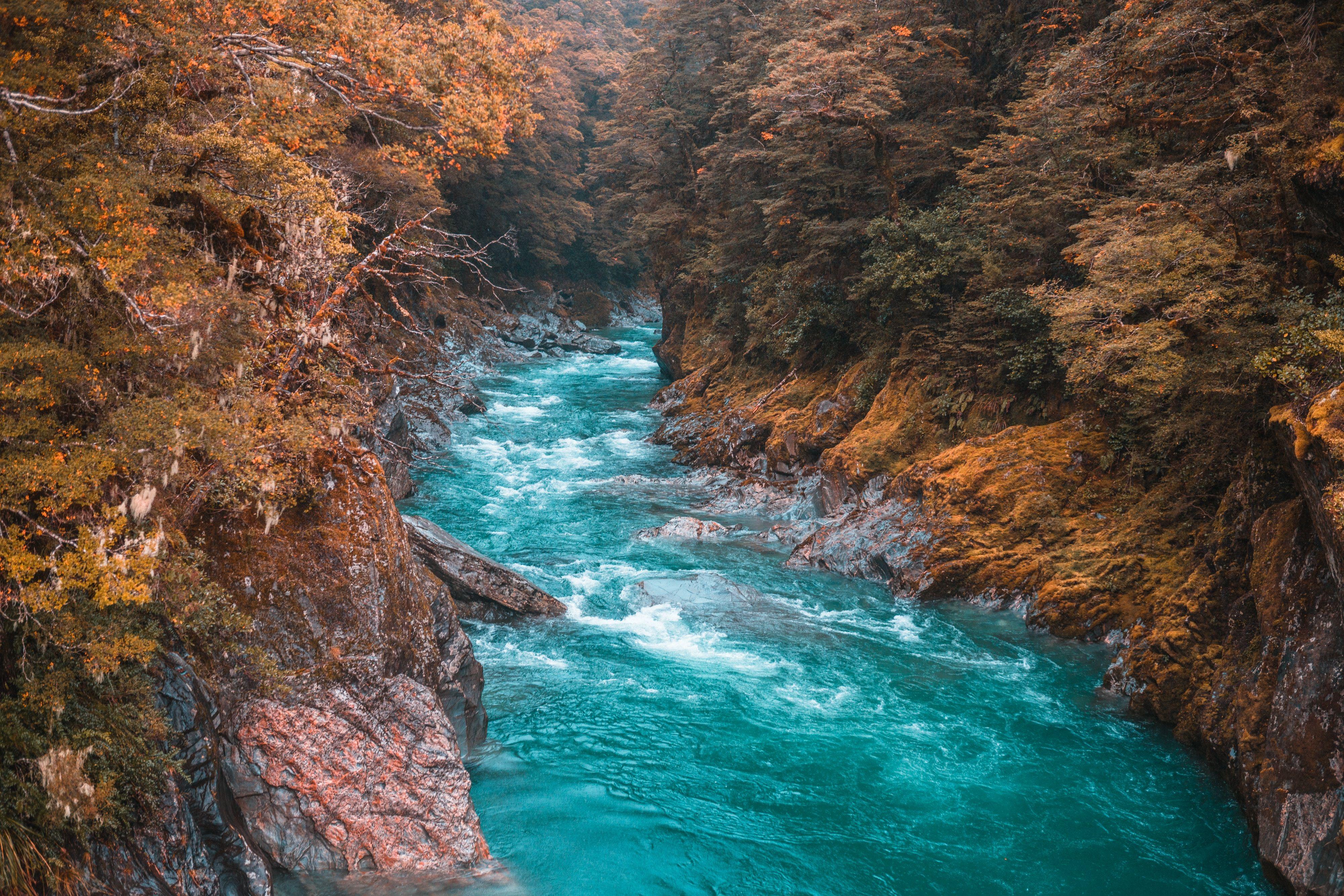 4000x2668 4000x2668 #android wallpaper, #fall, #zealand, #tree, #pool, #hd, #flower, #nature, #wanaka, #download, #forest, #Public domain image, #iphone wallpaper, #background, #water, #river, #blue, #hd wallpaper, # wallpaper, #south, #island. Mocah