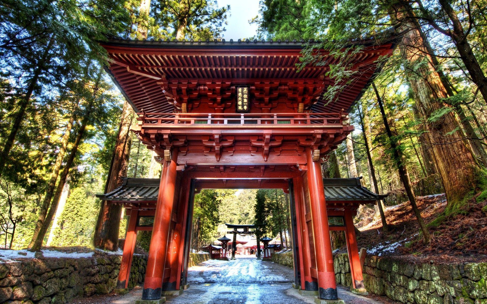1920x1200 Ancient: Temple Entrance China Amazing Forest Asia Ancient Way