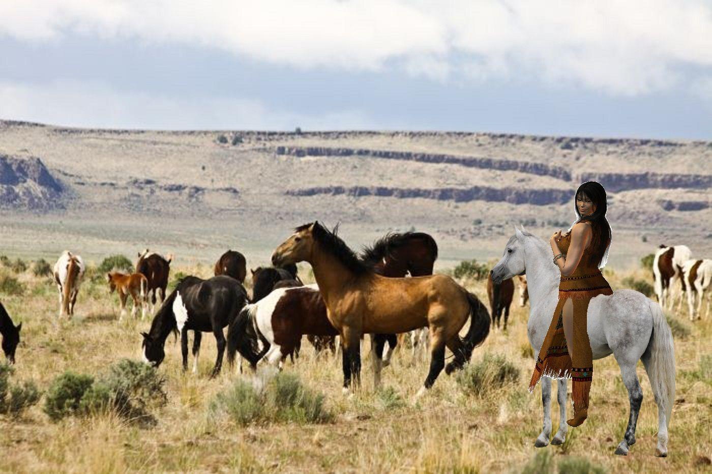 1400x932 Native Americans image Native American Woman riding her grayish