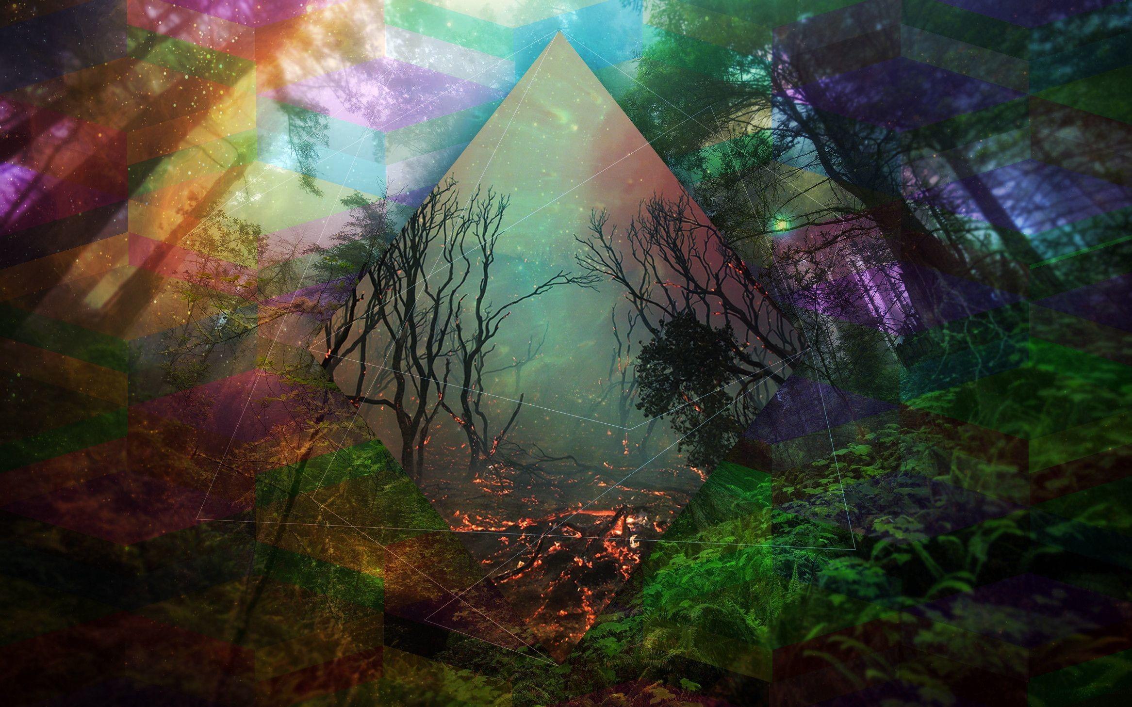 Psychedelic Forest Wallpapers - Top Free Psychedelic Forest Backgrounds -  WallpaperAccess