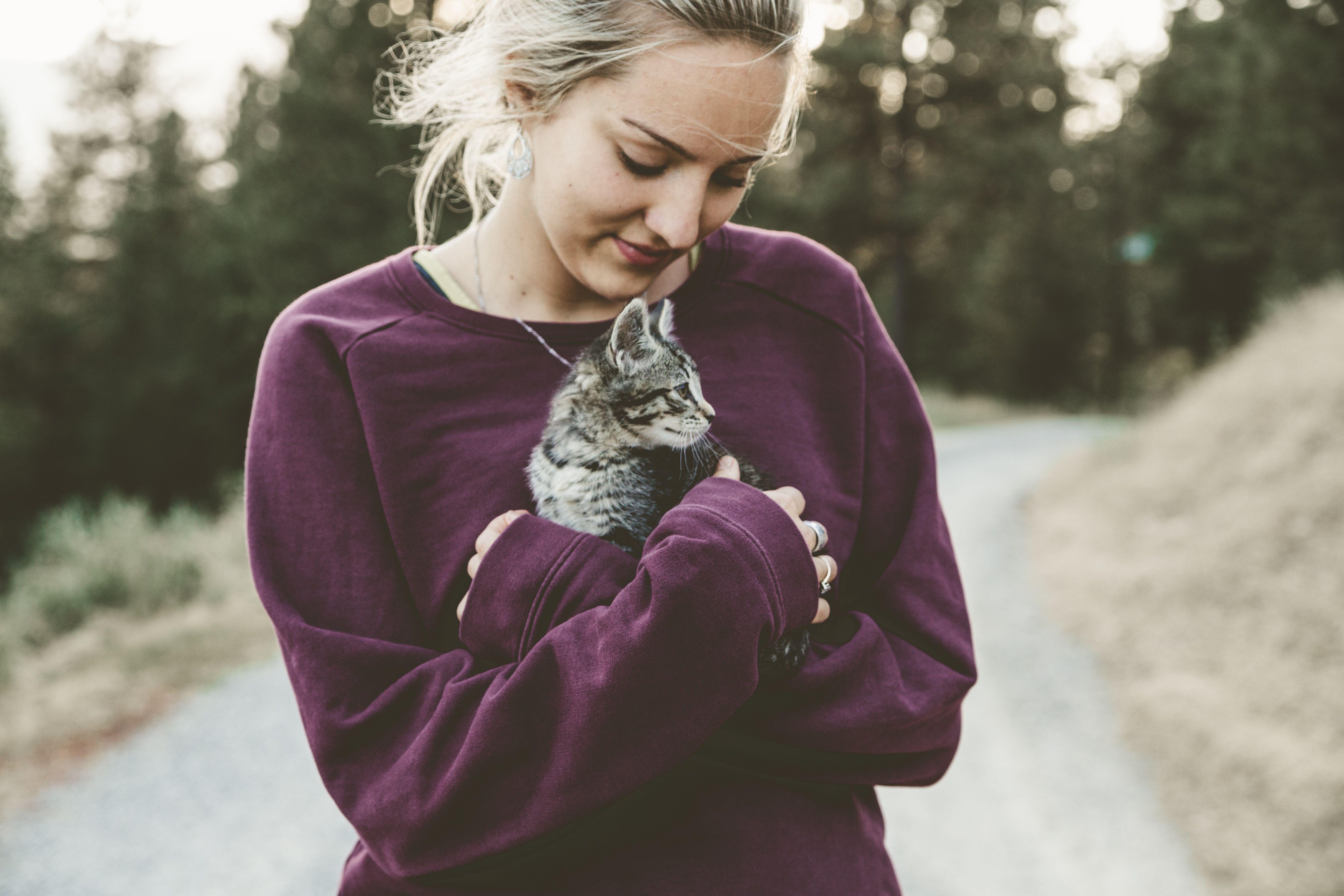 5472x3648 5472x3648 #hugging, #woman holding kitten, #wallpaper, #bokeh, #cute wallpaper, #holding, #animal, #kitten, #cute background, #outdoor, #woman, #animal lover, #cat, #baby kitten, #pet, #hold, #blur, #Free image, #baby, #animal love, #hug