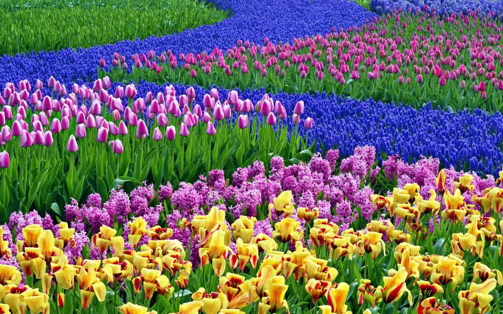 High Resolution Spring Wallpapers - Top Free High Resolution Spring ...