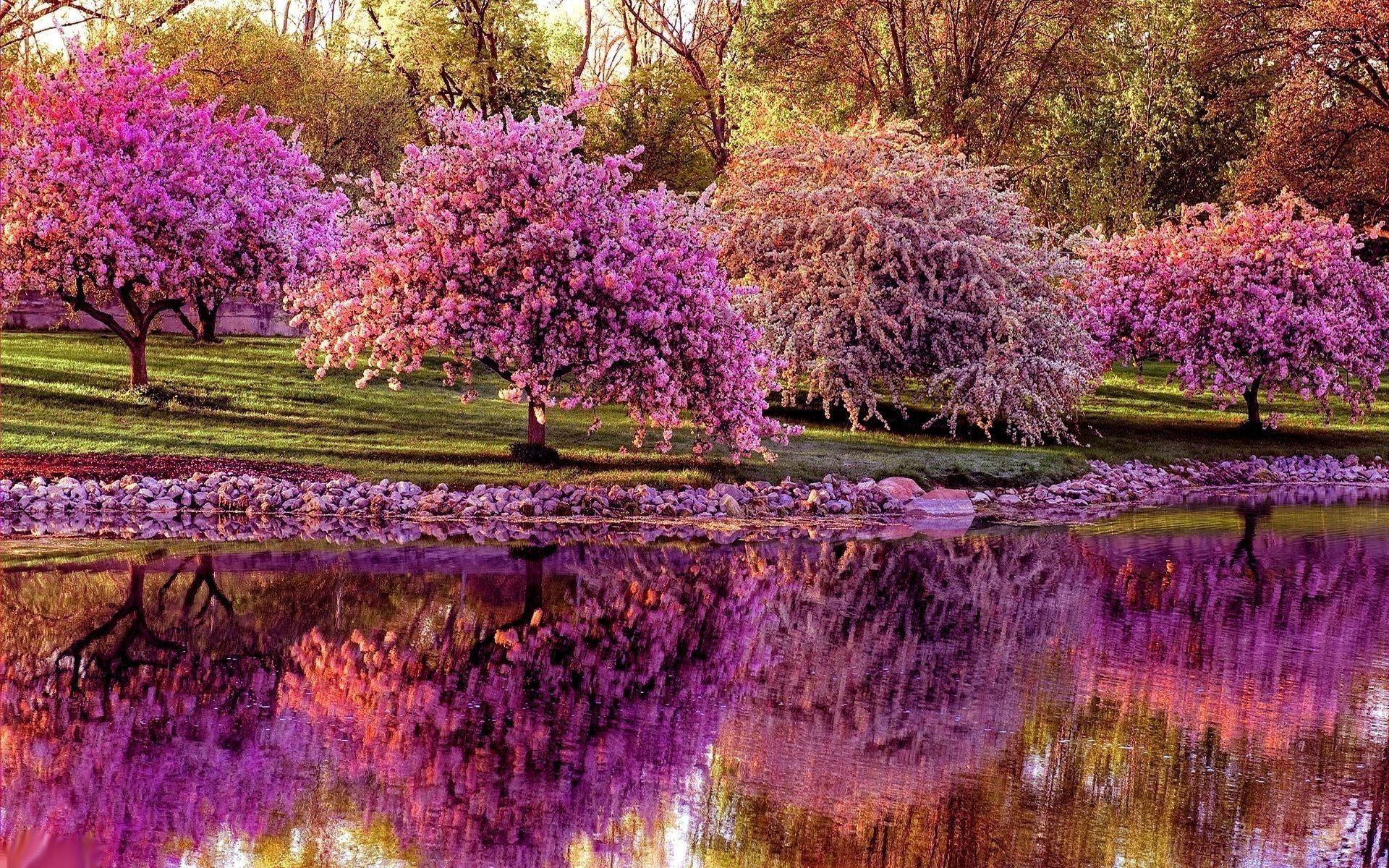 High Resolution Spring Wallpapers - Top Free High Resolution Spring ...