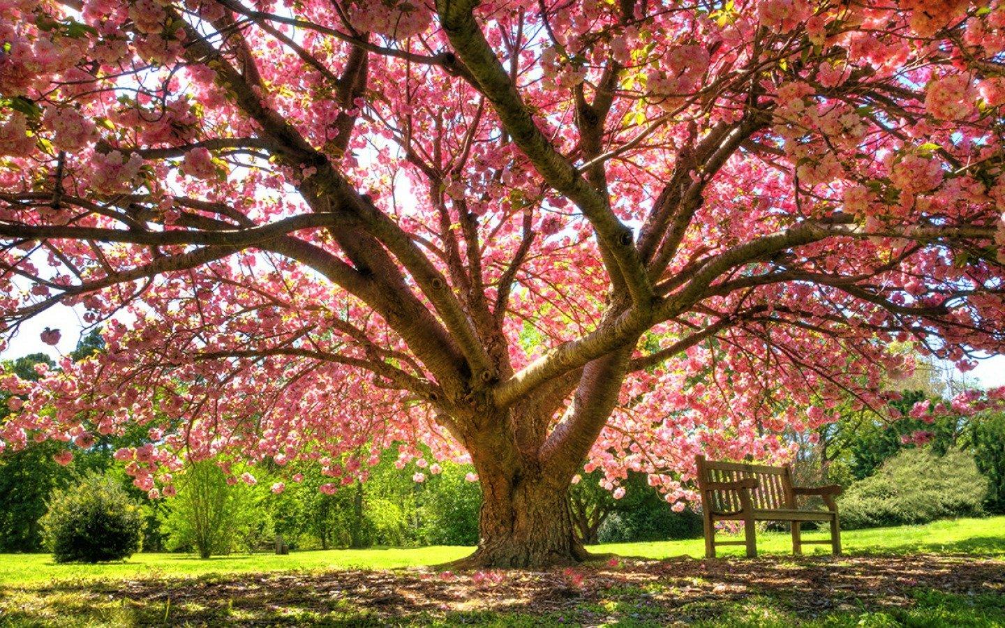 High Resolution Spring Wallpapers - Top Free High Resolution Spring ...