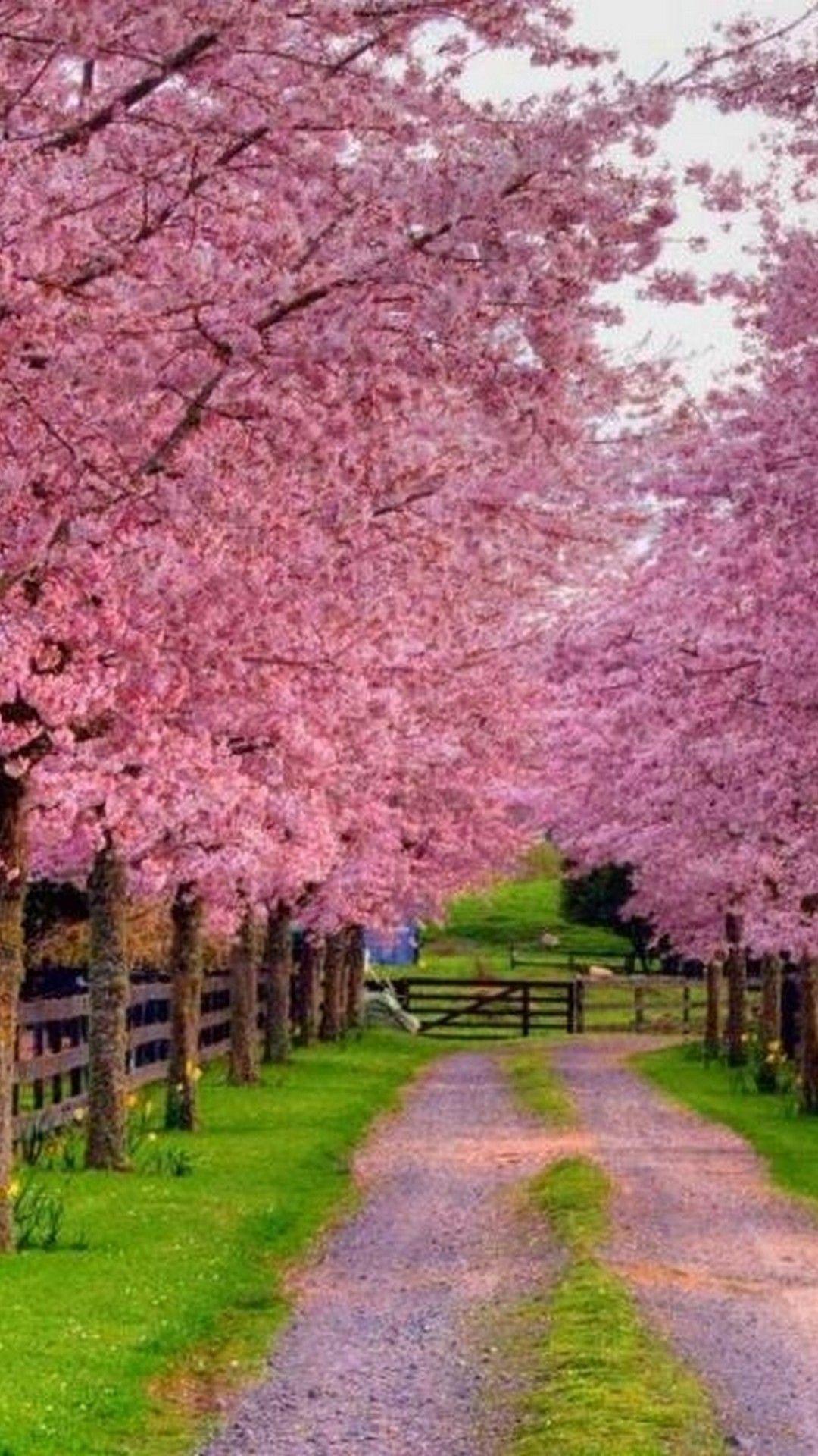 High Resolution Spring Wallpapers - Top Free High Resolution Spring ...