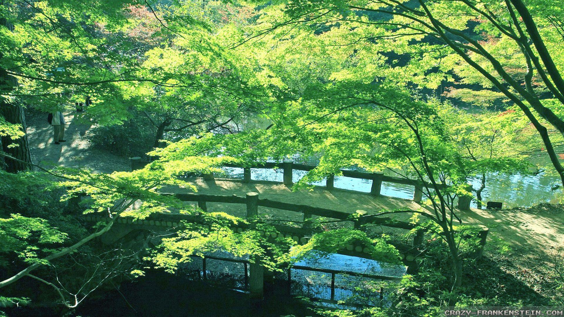 1920x1080 Green Japanese Wallpaper. Cute Japanese Wallpaper, Japanese Floral Wallpaper and Japanese Flower Wallpaper