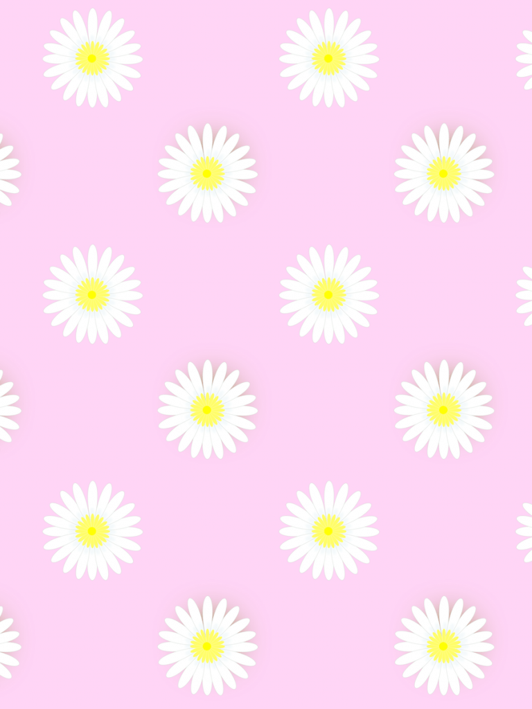 Pink Daisy Wallpapers - Top Free Pink Daisy Backgrounds - WallpaperAccess