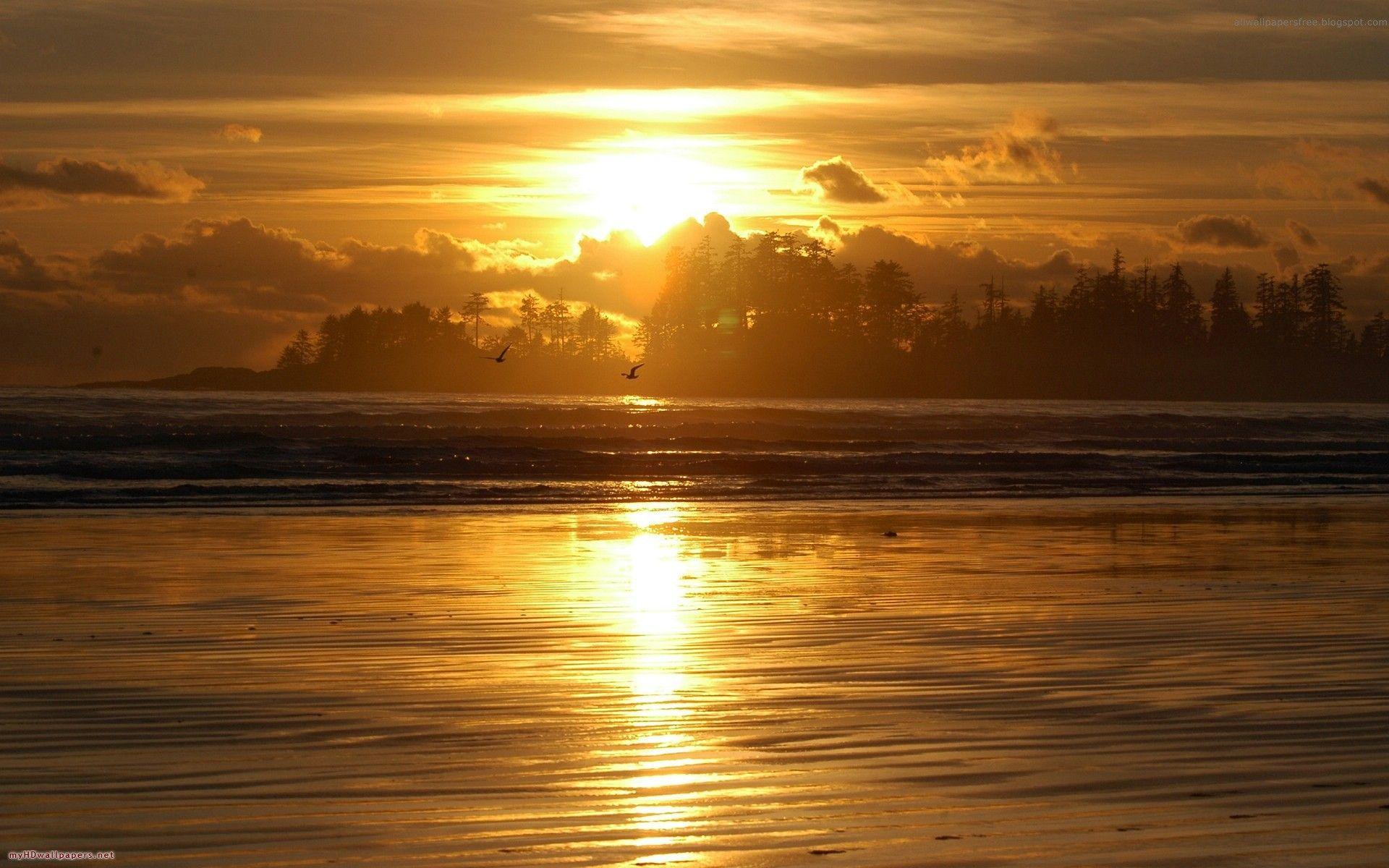 1920x1200 Sunset, beautiful, golden, wallpaper