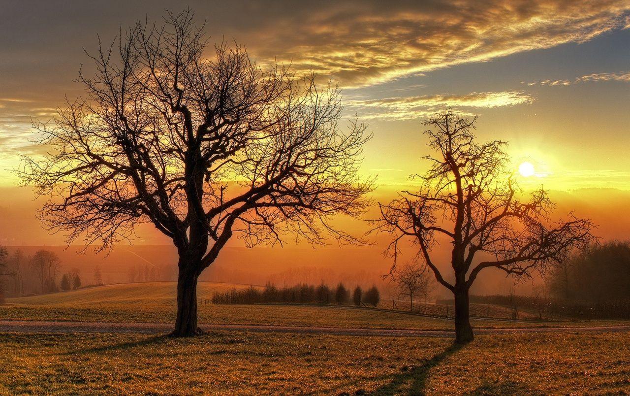 Golden Sunset Wallpapers - Top Free Golden Sunset Backgrounds ...