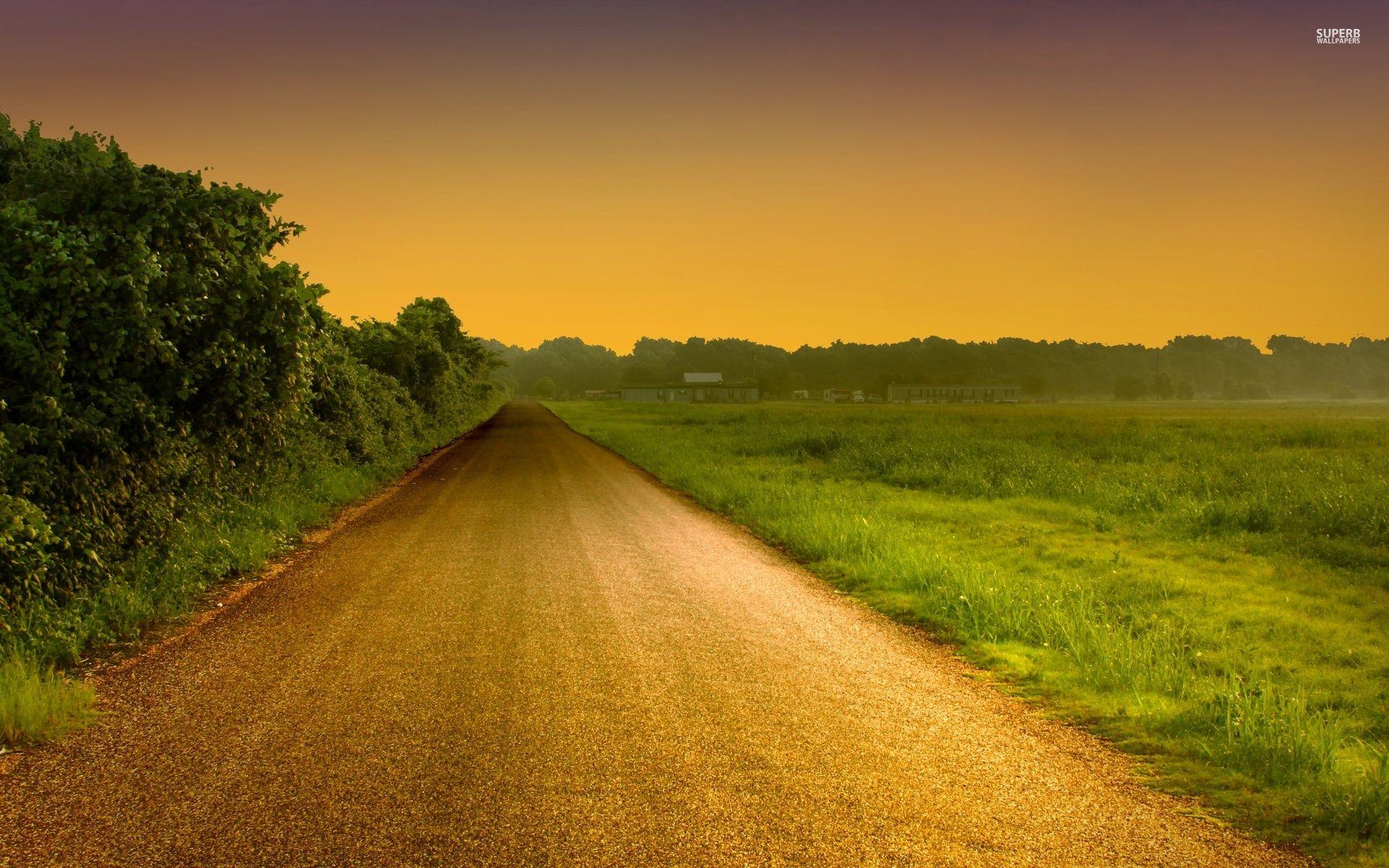 1920x1200 Hedge Road Field Golden Sunset wallpaper. Hedge Road Field Golden Sunset