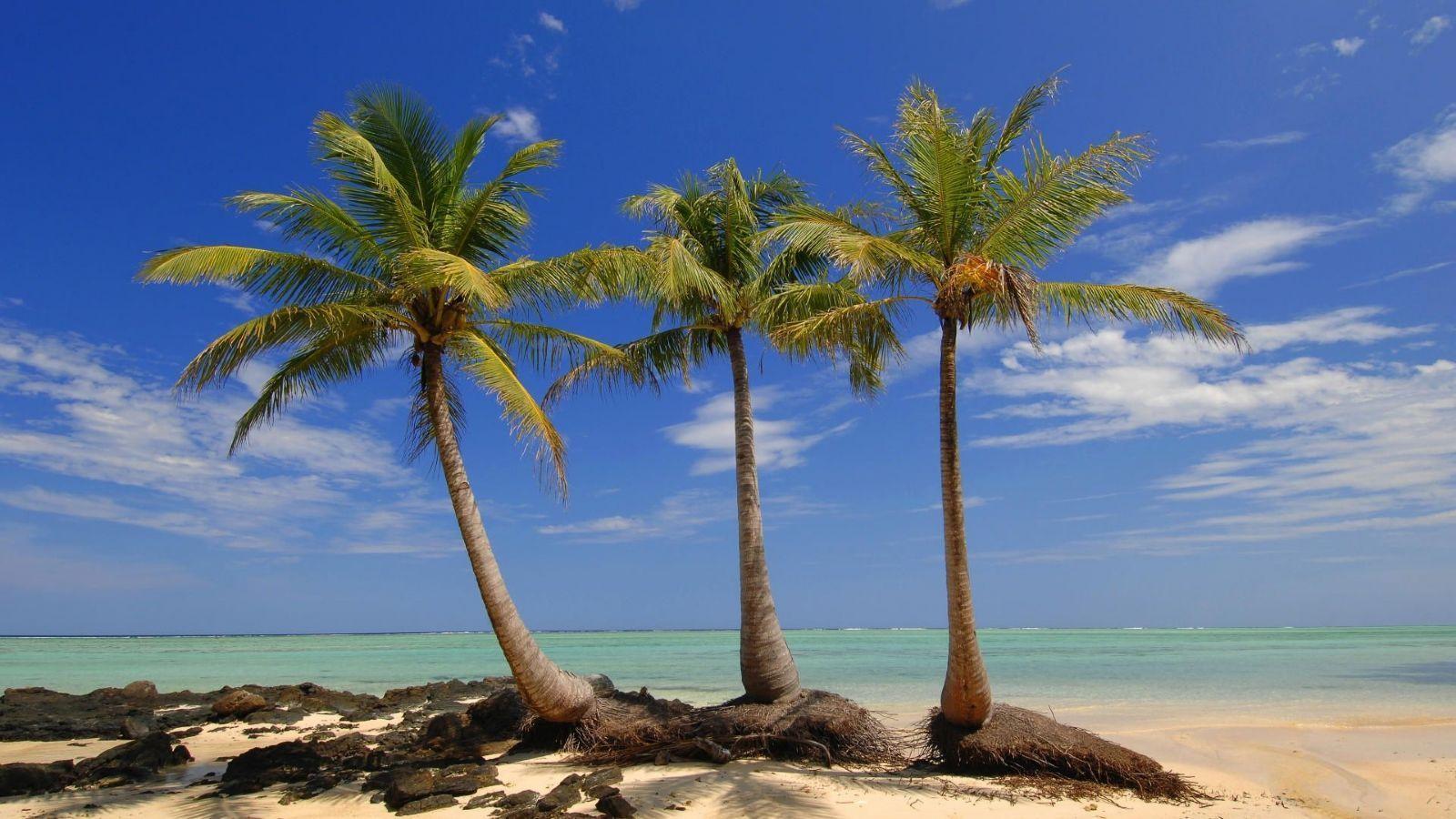 1600x900 Madagascar. Plaatsen om te bezoeken, Eiland, Travel