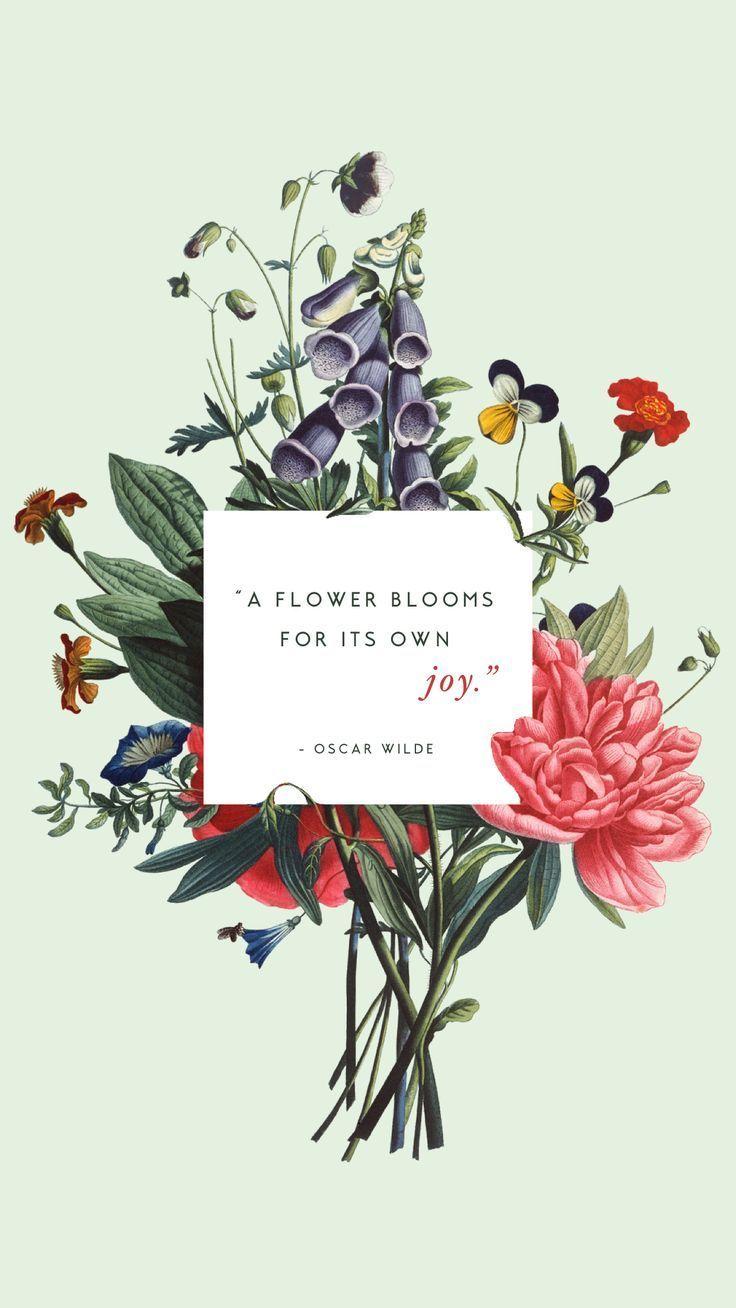 736x1308 Floral bouquet Oscar Wilde quote spring phone wallpaper Lynn Meadows Photography. Inspirational quotes picture, Floral quotes