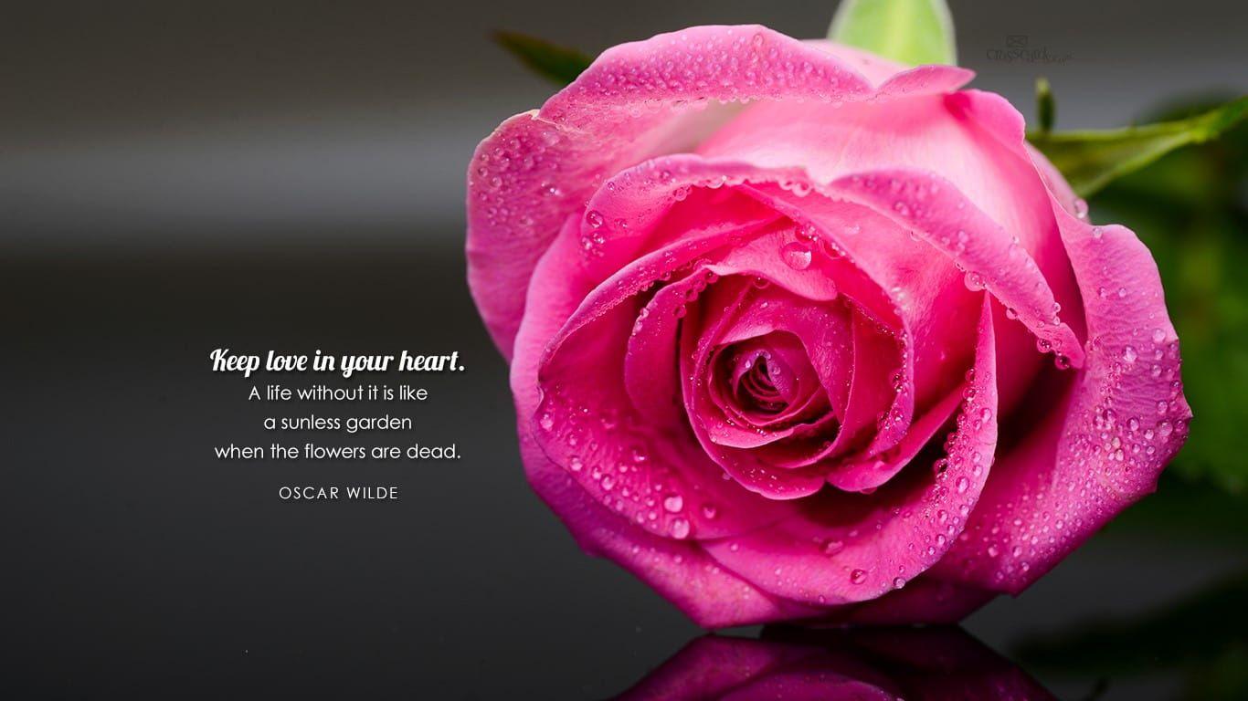 1366x768 Oscar Wilde Quote Desktop Wallpaper