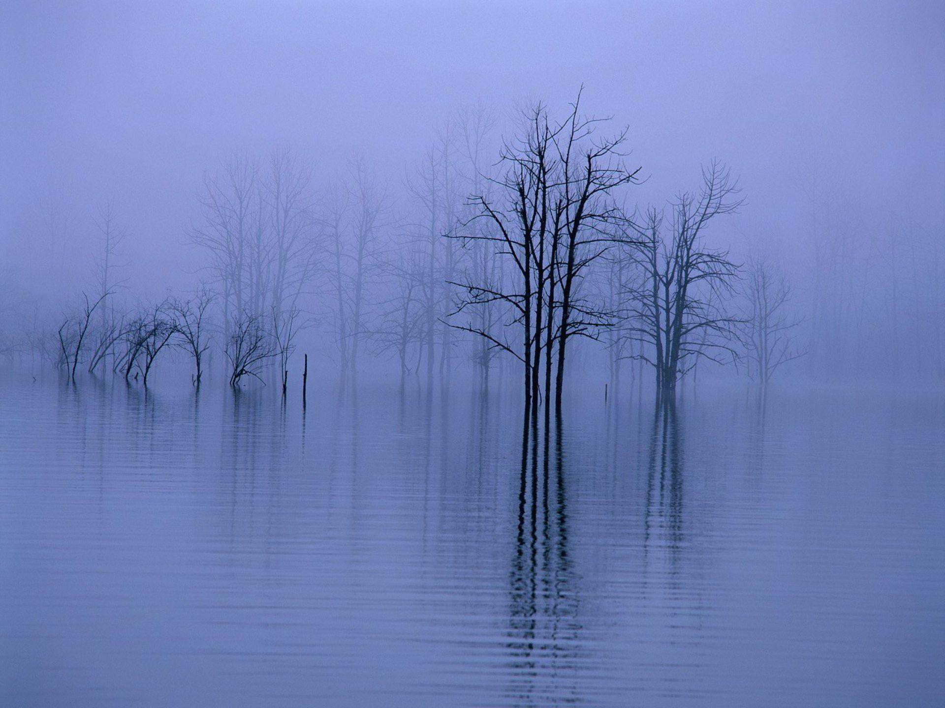 Fog Water Wallpapers - Top Free Fog Water Backgrounds - WallpaperAccess