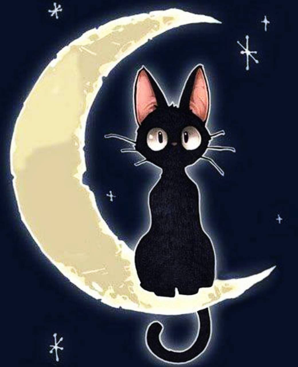 Jiji Cat Wallpapers - Top Free Jiji Cat Backgrounds - WallpaperAccess