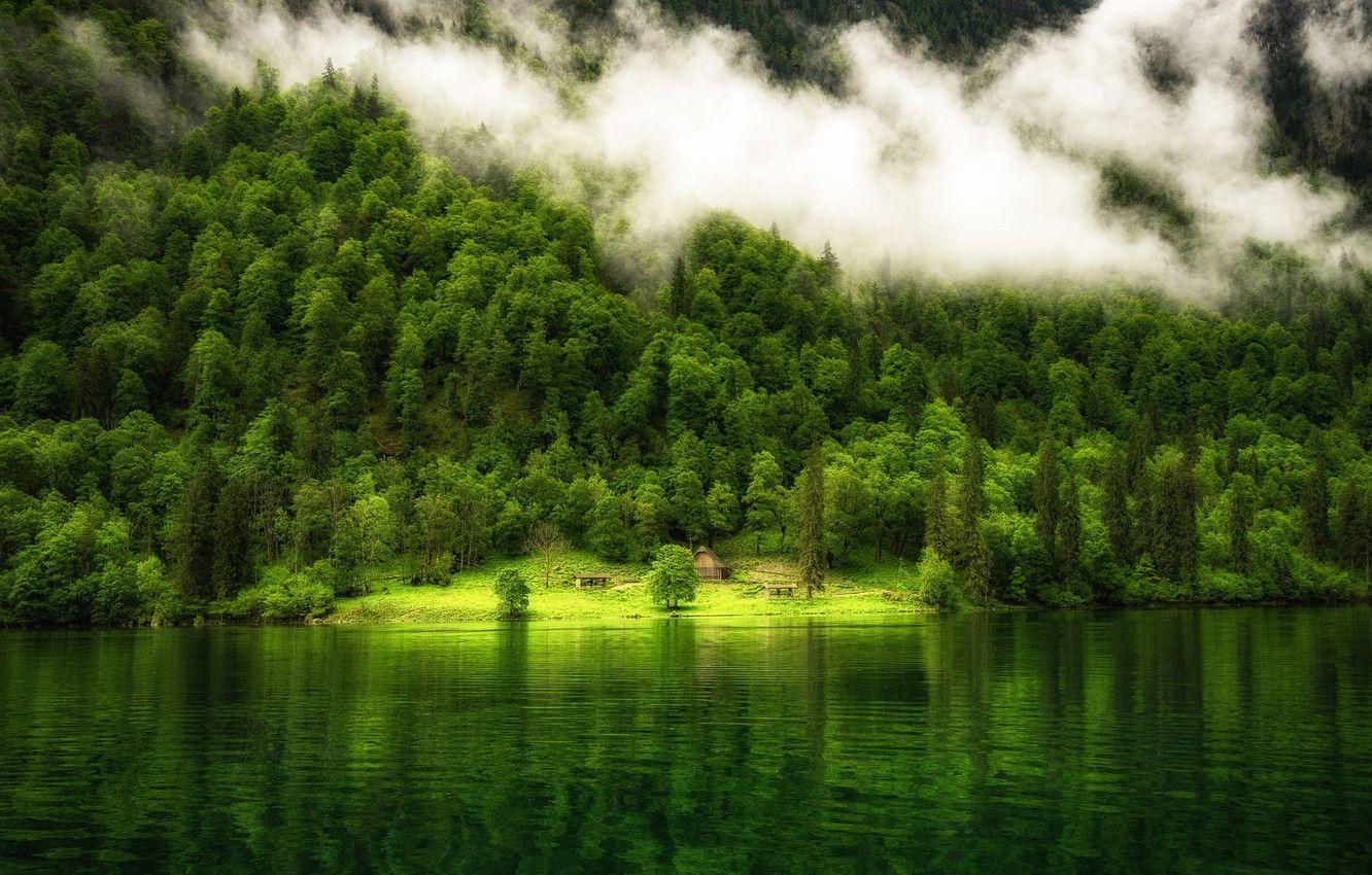 1332x850 Wallpaper green, colorful, house, forest, trees, landscape, nature, water, mountain, fog, reflection, mist, Lake image for desktop, section природа