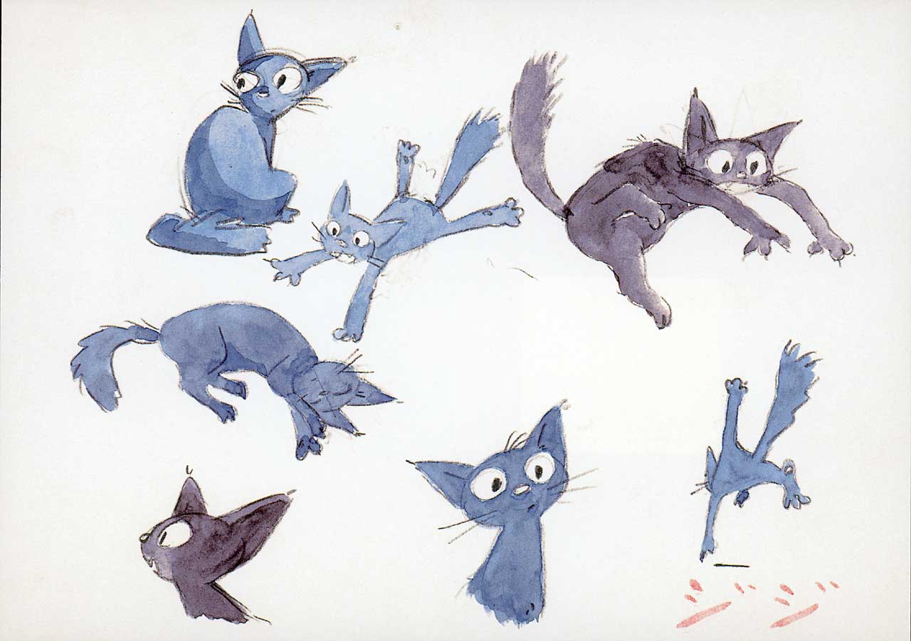 Jiji Cat Wallpapers Top Free Jiji Cat Backgrounds WallpaperAccess