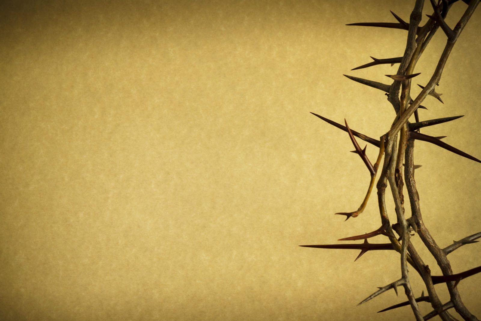 1600x1067 Jesus Crown Of Thorns Desktop Wallpaper
