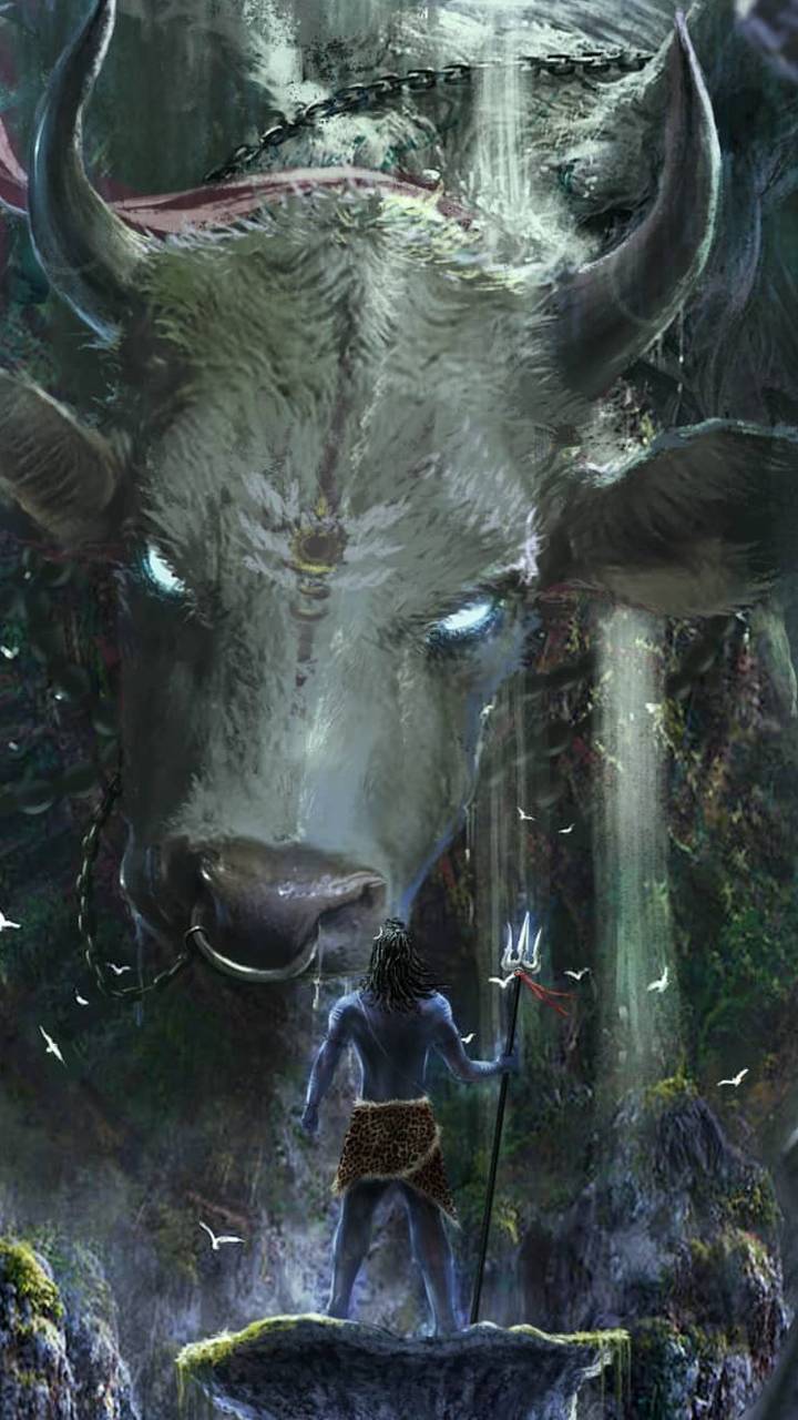 720x1280 Angry Bull Mobile Wallpaper