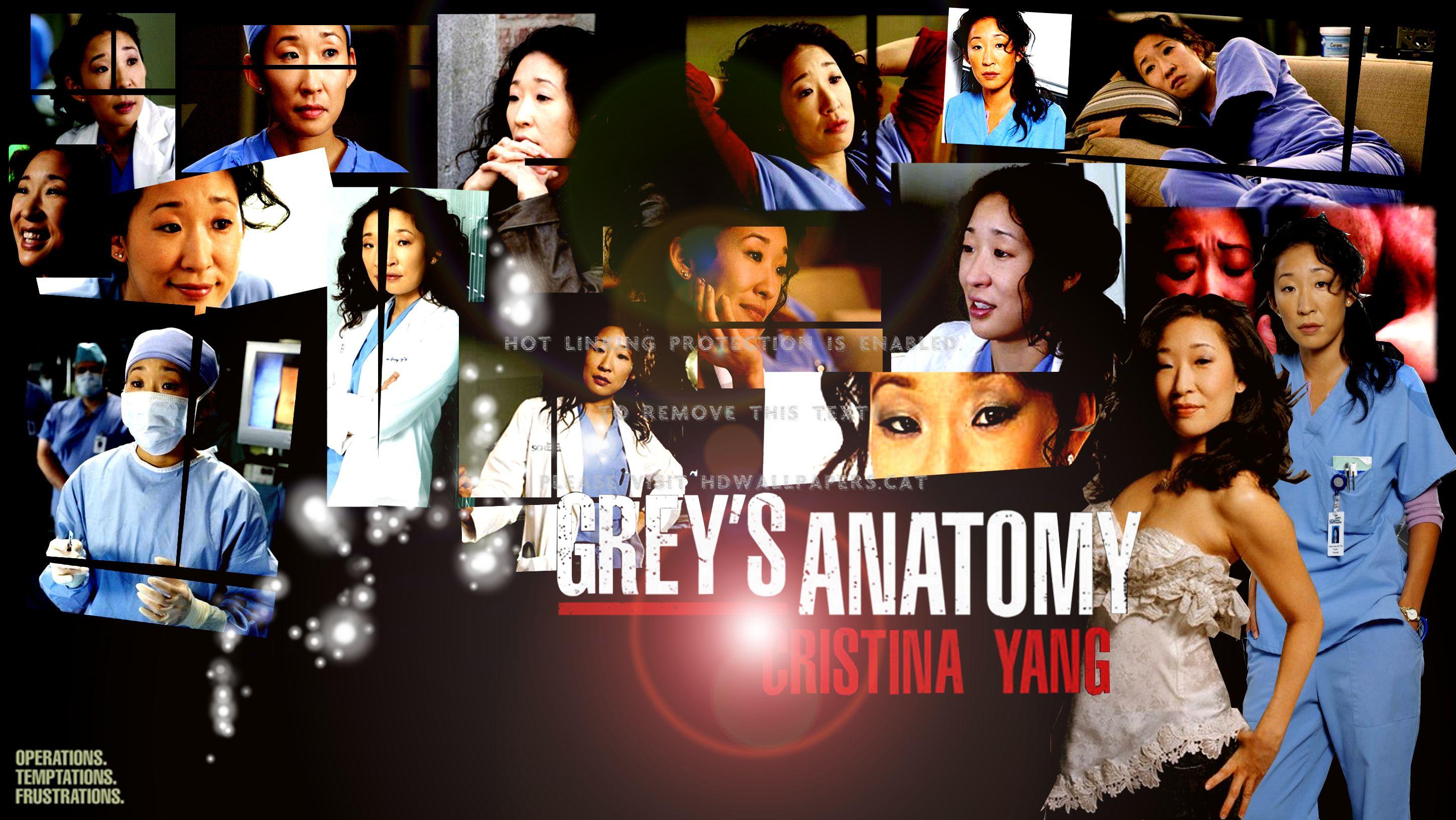 2900x1632 Ga Cristina Yang Greys Anatomy Actress Oh