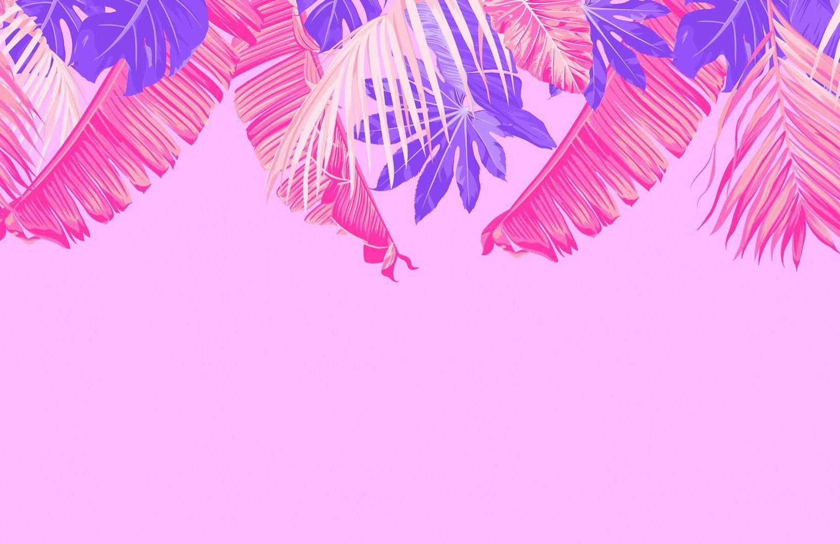 Tropical Pink Wallpapers - Top Free Tropical Pink Backgrounds