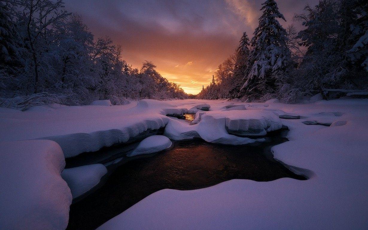 1230x768 nature, Landscape, Sunset, Cold, Winter, Forest, Sky, Maine, Frost, Clouds, Trees, Snow Wallpaper HD / Desktop and Mobile Background