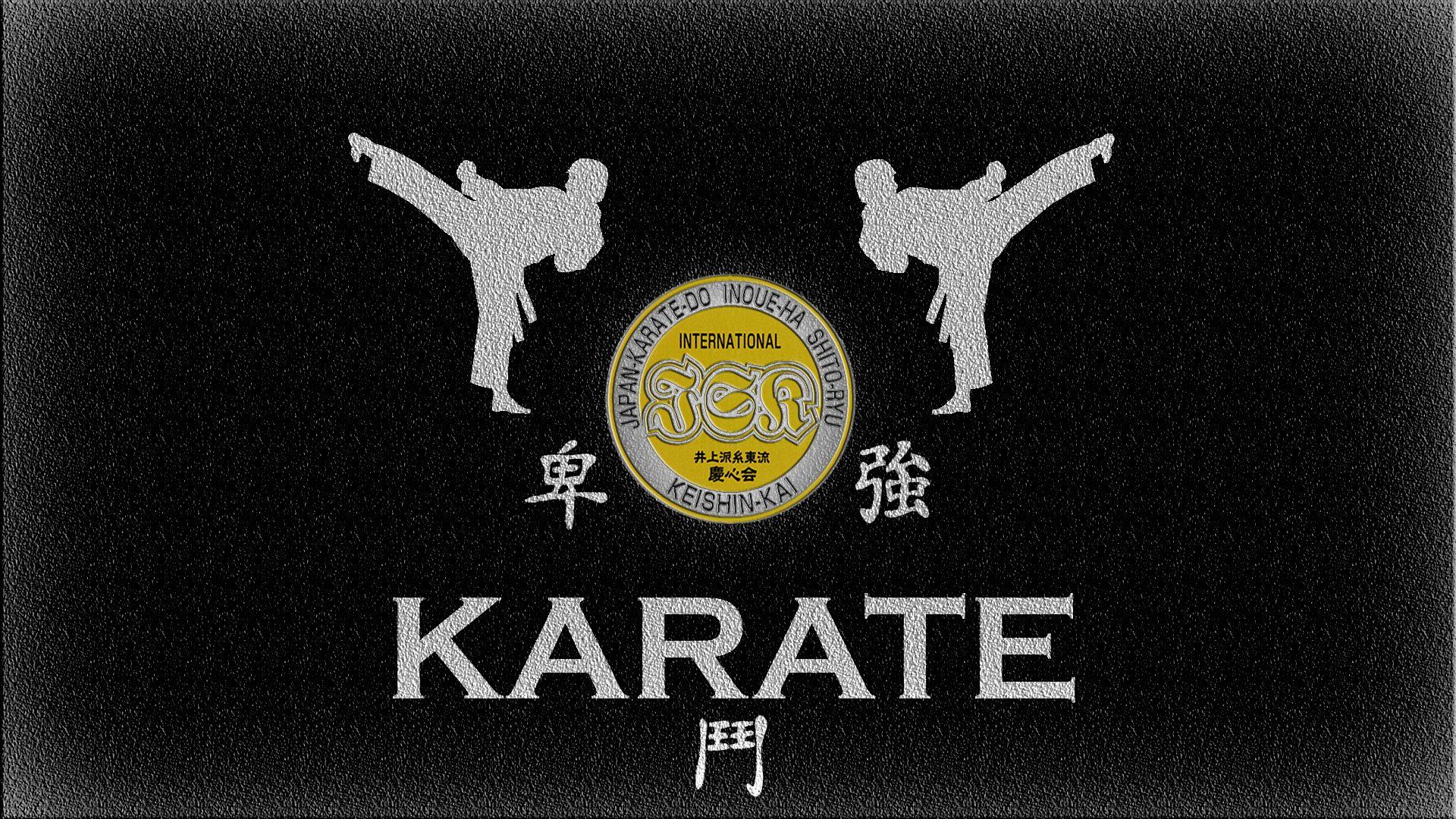 Hình ảnh Karate Võ Thuật Giật Gân Thiết Kế Phản Chiếu PNG  Hình Bóng Võ  Karate Thiết Kế PNG và Vector với nền trong suốt để tải xuống miễn phí