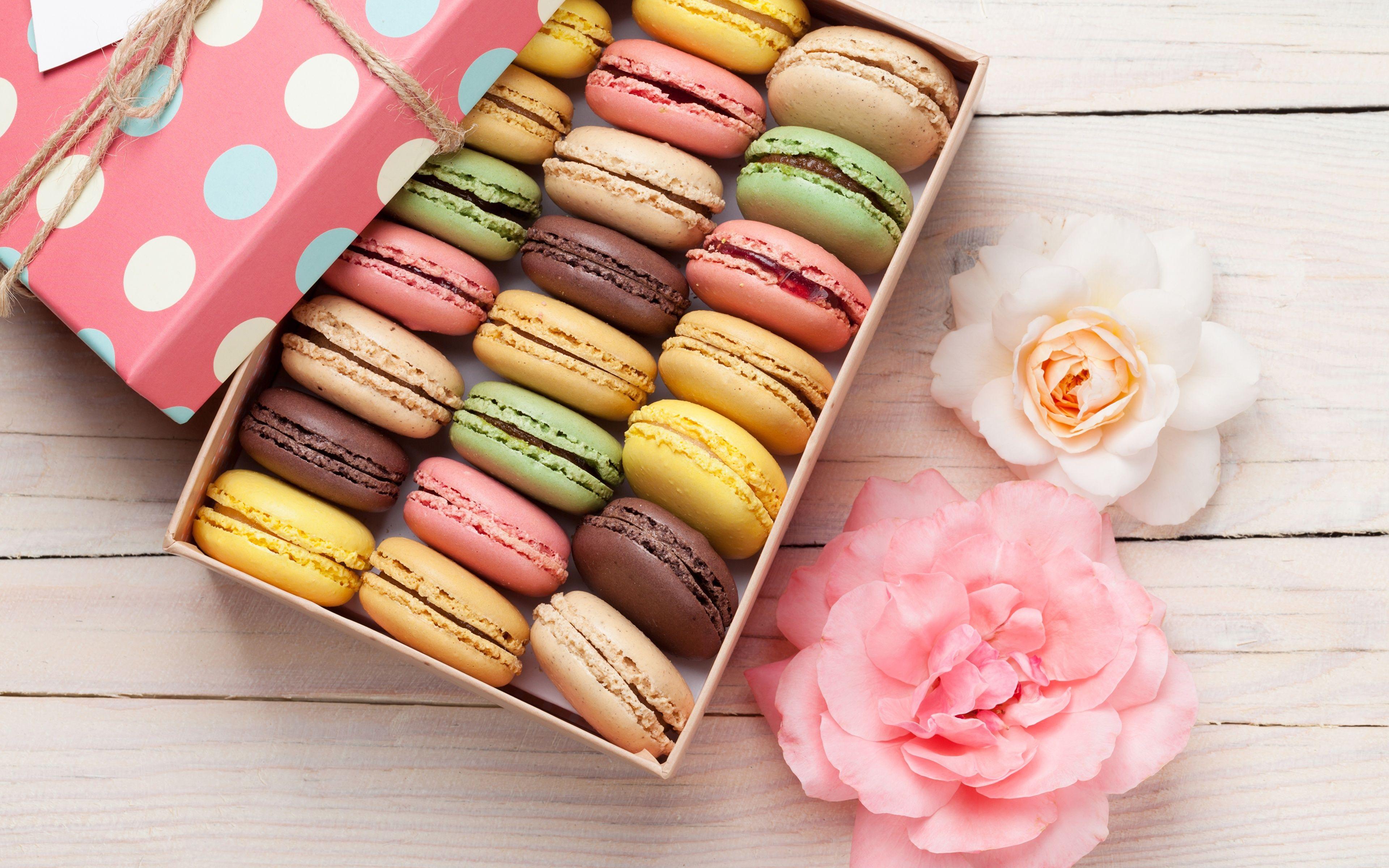 Macaroon Wallpapers - Top Free Macaroon Backgrounds - WallpaperAccess