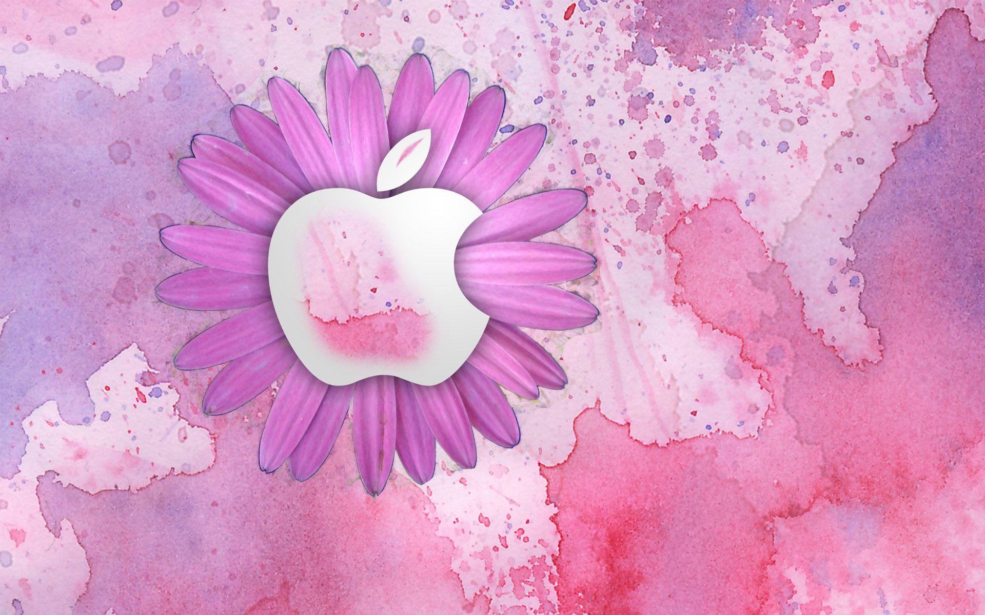 1920x1200 Download These 45 Pink Wallpaper Every Engineer Girl Will Love