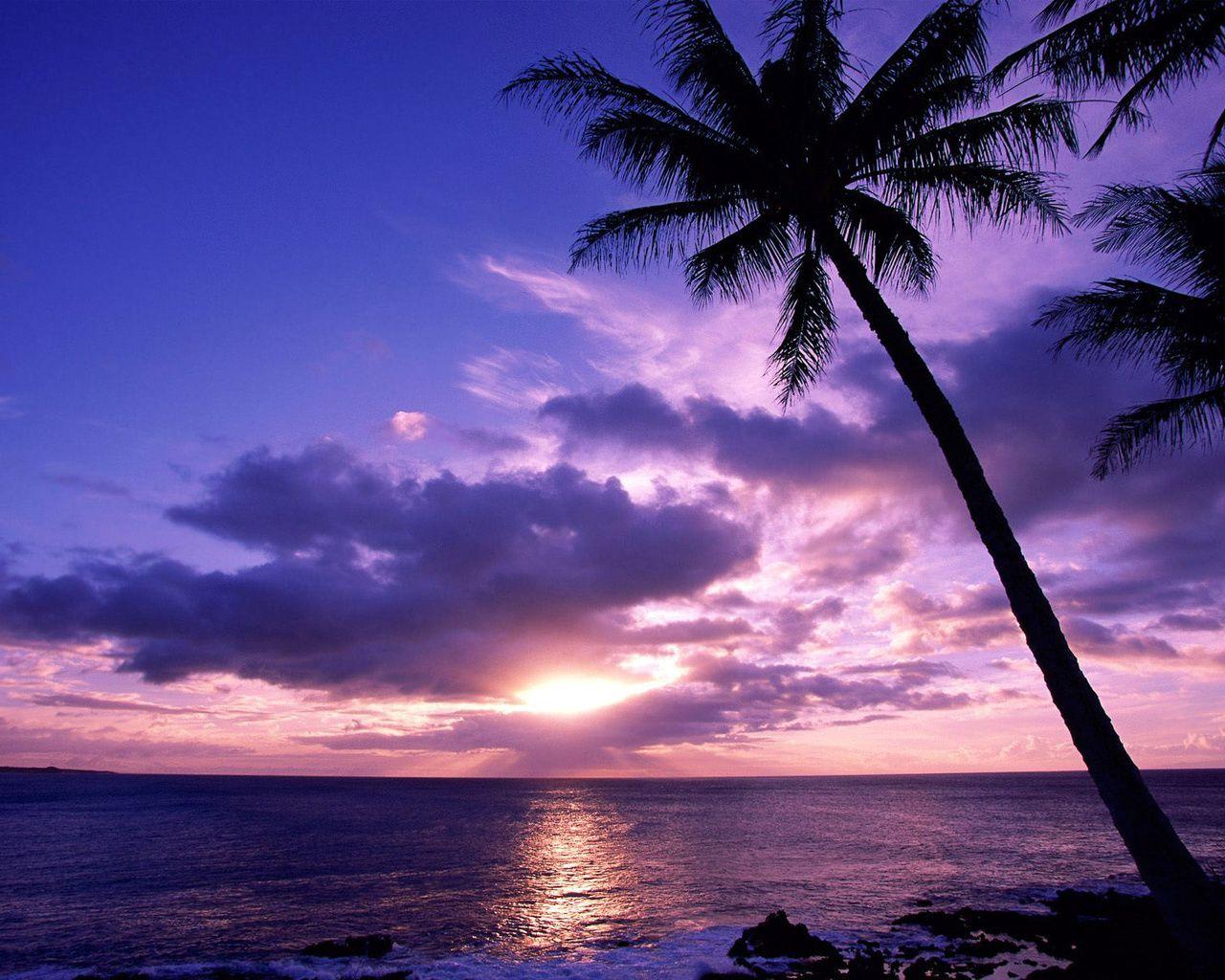 1280x1024 Tropical Scene Background, Tropical Scene Wallpaper