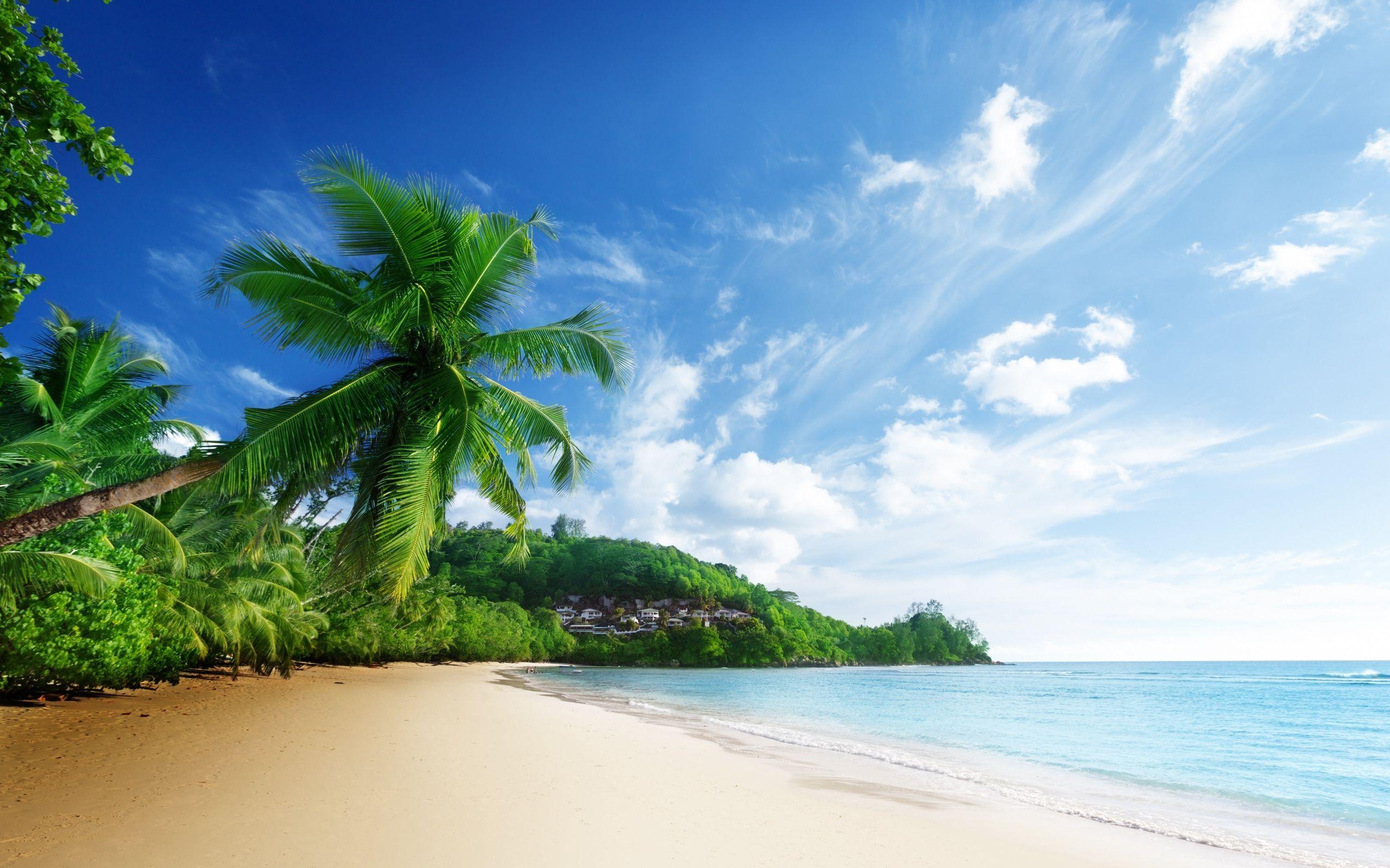 2560x1600 Tropical Wallpaper. Tropical Wallpaper, Tropical Computer Wallpaper and Best Tropical Wallpaper