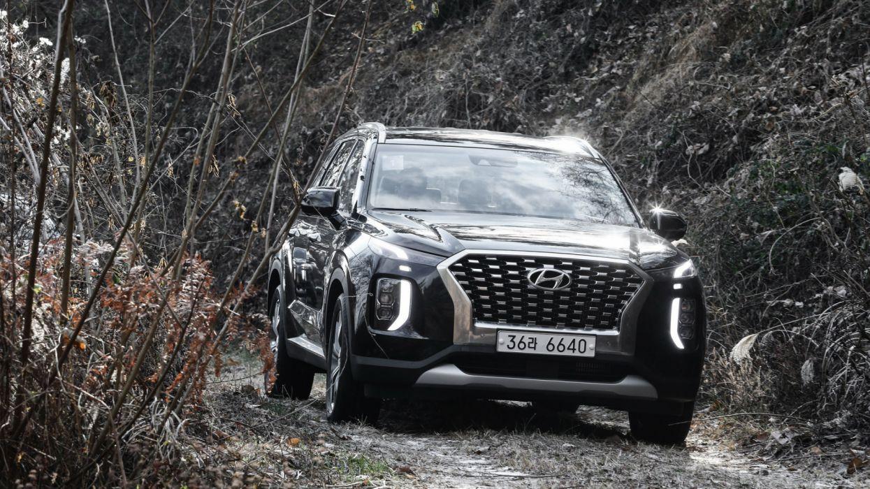 1245x700 Hyundai Palisade 2019 4k HD Wallpaperx1440