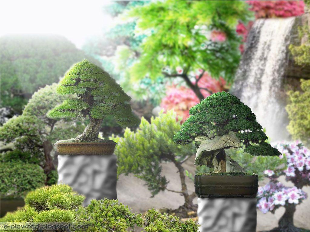1024x768 Beauty Garden Wallpaper: Bonsai Garden Wallpaper
