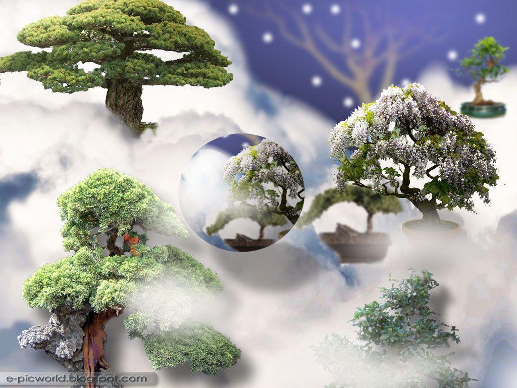 1024x768 Free download Bonsai Garden Wallpaper Beauty Garden Wallpaper [1024x768] for your Desktop, Mobile & Tablet. Explore Bonsai Wallpaper. Bonsai Wallpaper for Android, Bonsai Wallpaper Murals