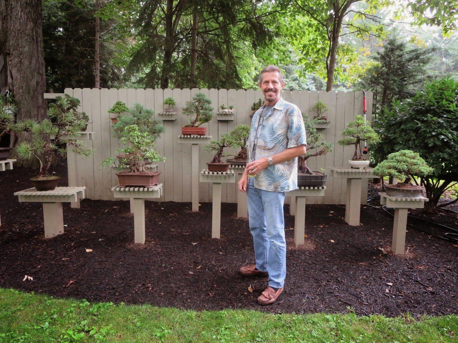 1600x1200 Bonsai Tree: Modern Bonsai Garden Picture