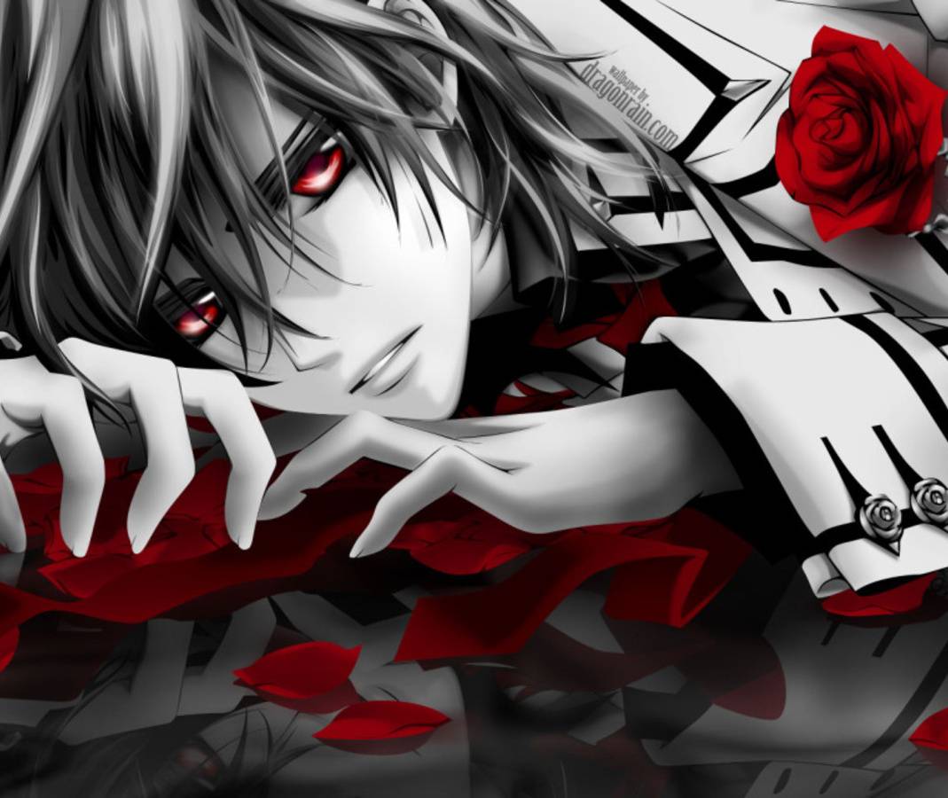 Kaname Kuran Wallpapers - Top Free Kaname Kuran Backgrounds ...