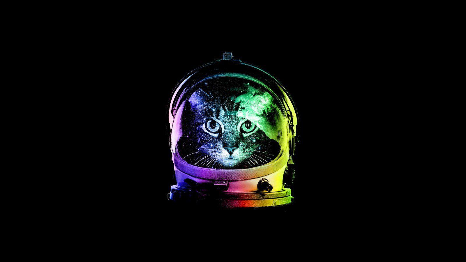 1600x900 astronaut minimalism cat colorful wallpaper and background