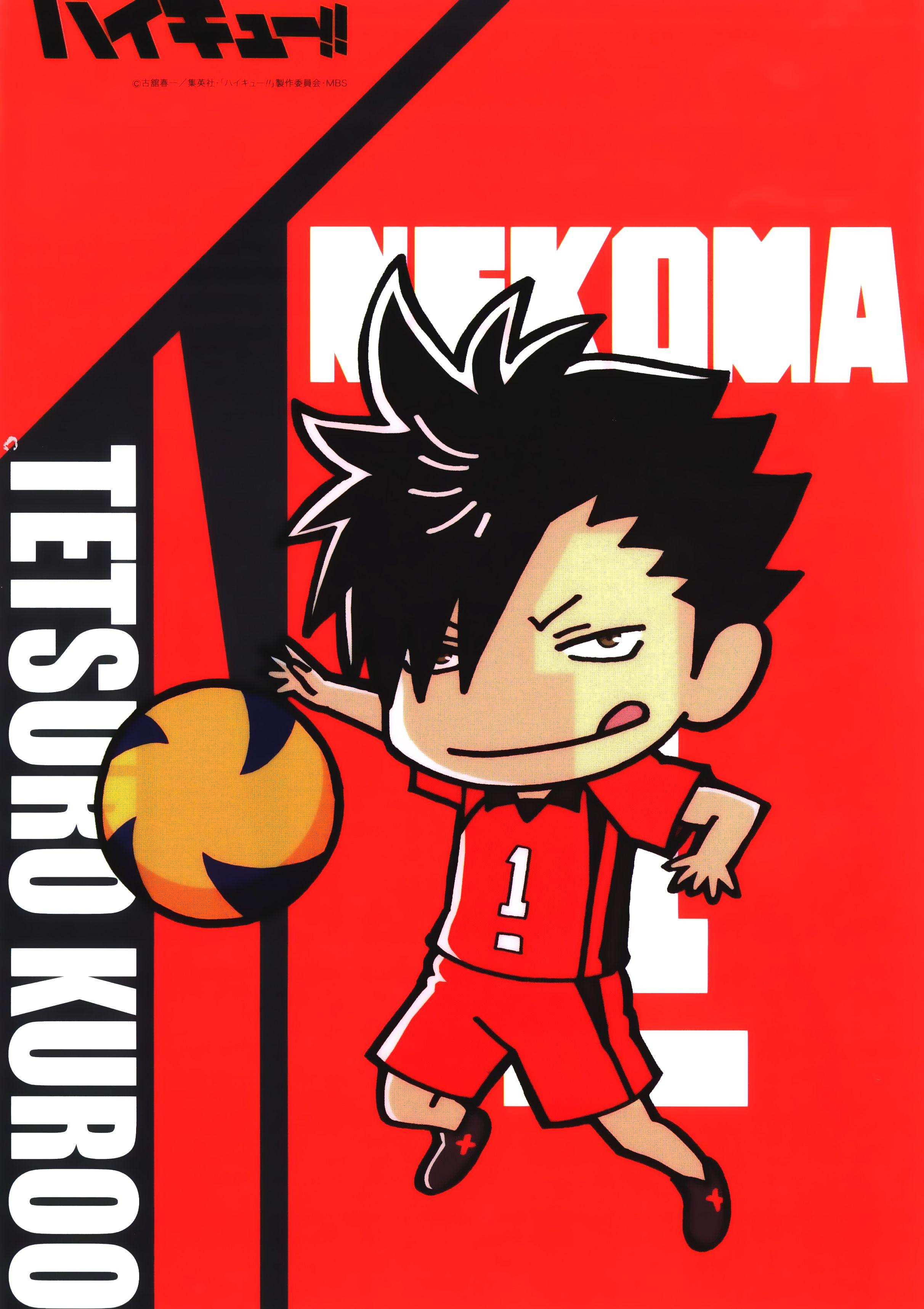2424x3435 Nekoma Wallpaper