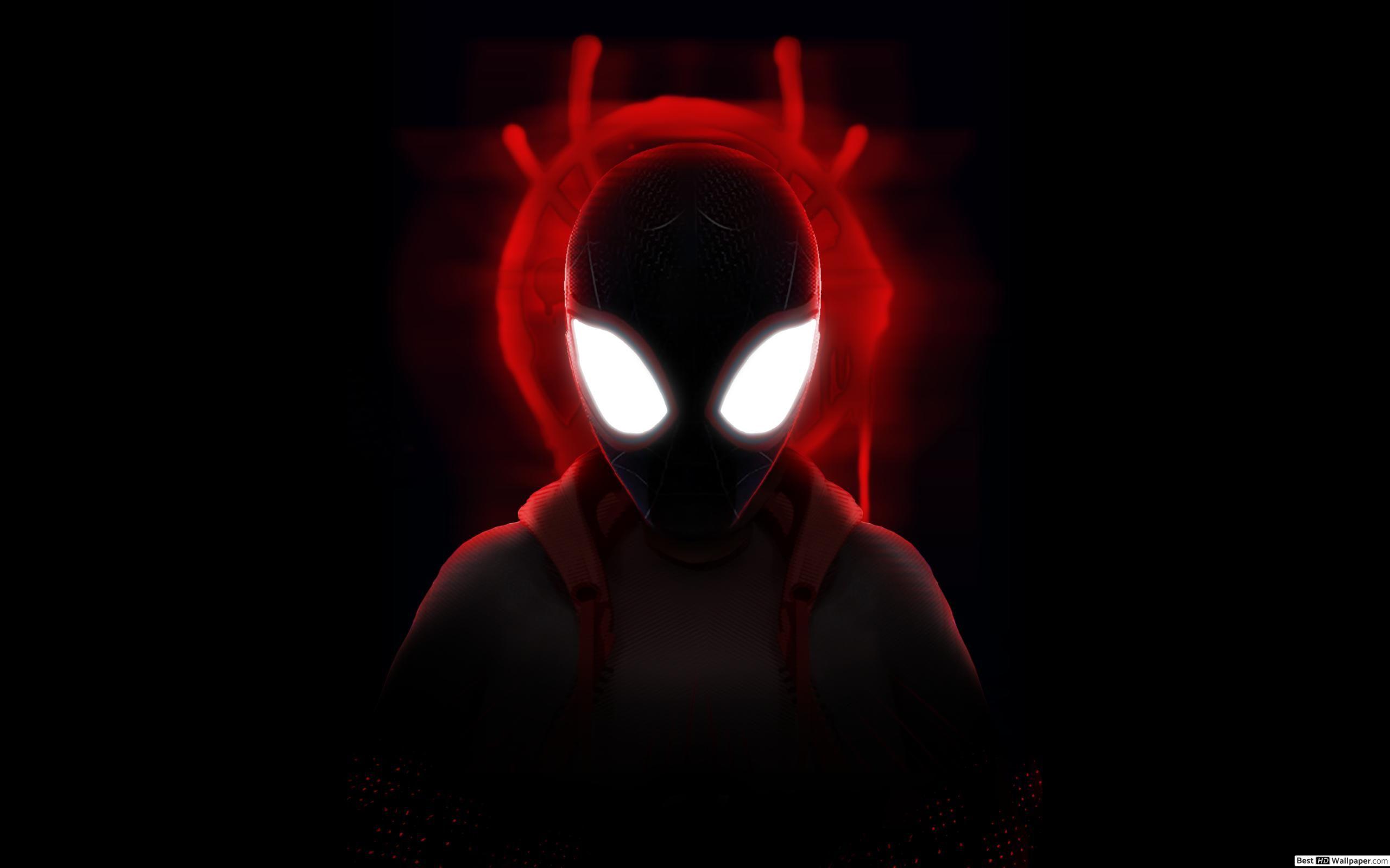 2560x1600 Spider Man: Into The Spider Verse Movie Morales (Spiderman Noir) HD Wallpaper Download