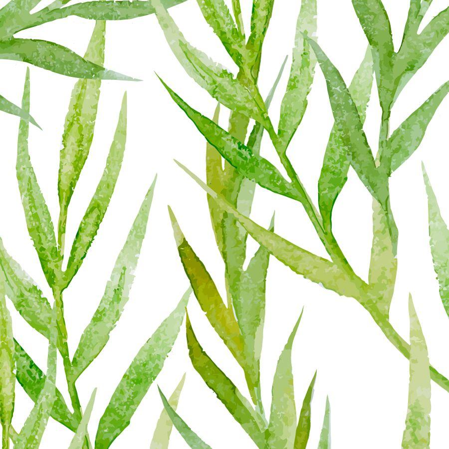 900x900 Watercolor Green Leaves Removable Wallpaper Tile